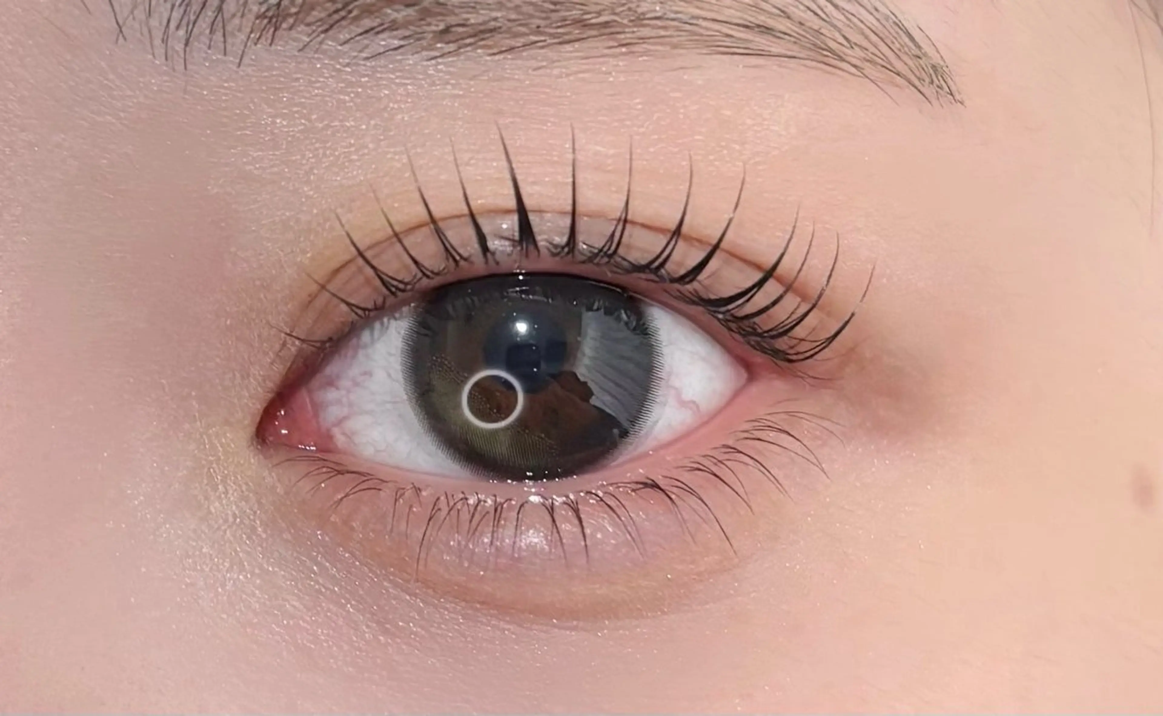 《上まつ毛パーマ 》束感仕上げ付き🎀の写真