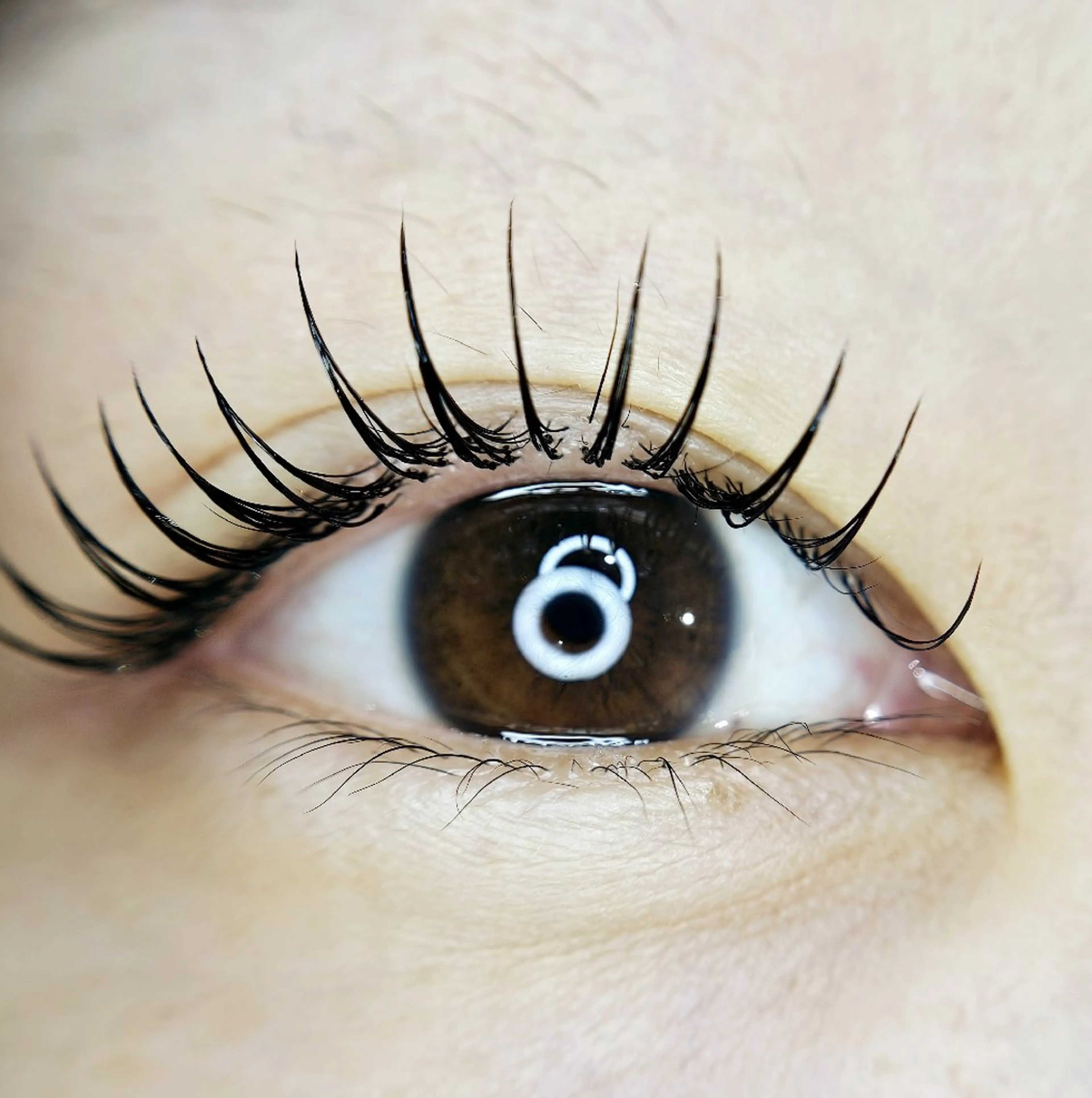 マツエク・マツパ L'Aube byM カネコのマツエク・マツパデザイン