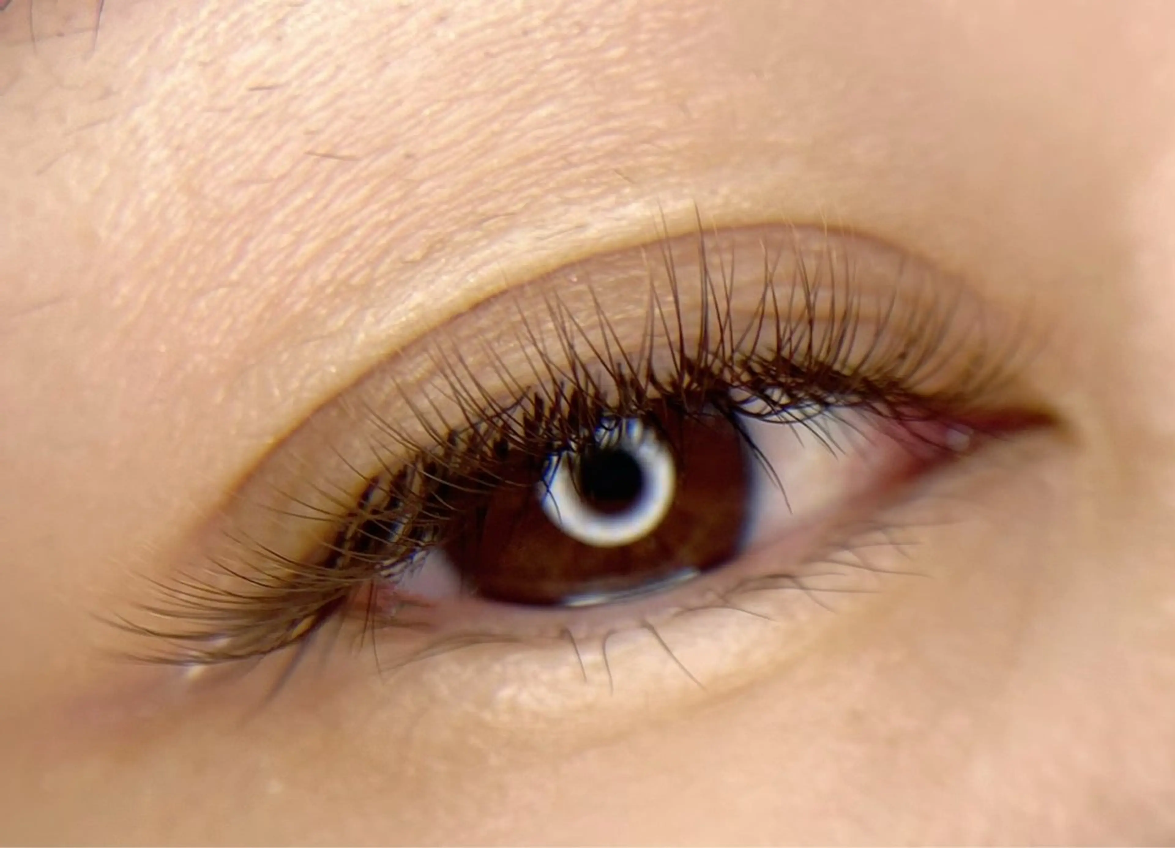 マツエク・マツパ tomte トムテのマツエク・マツパデザイン