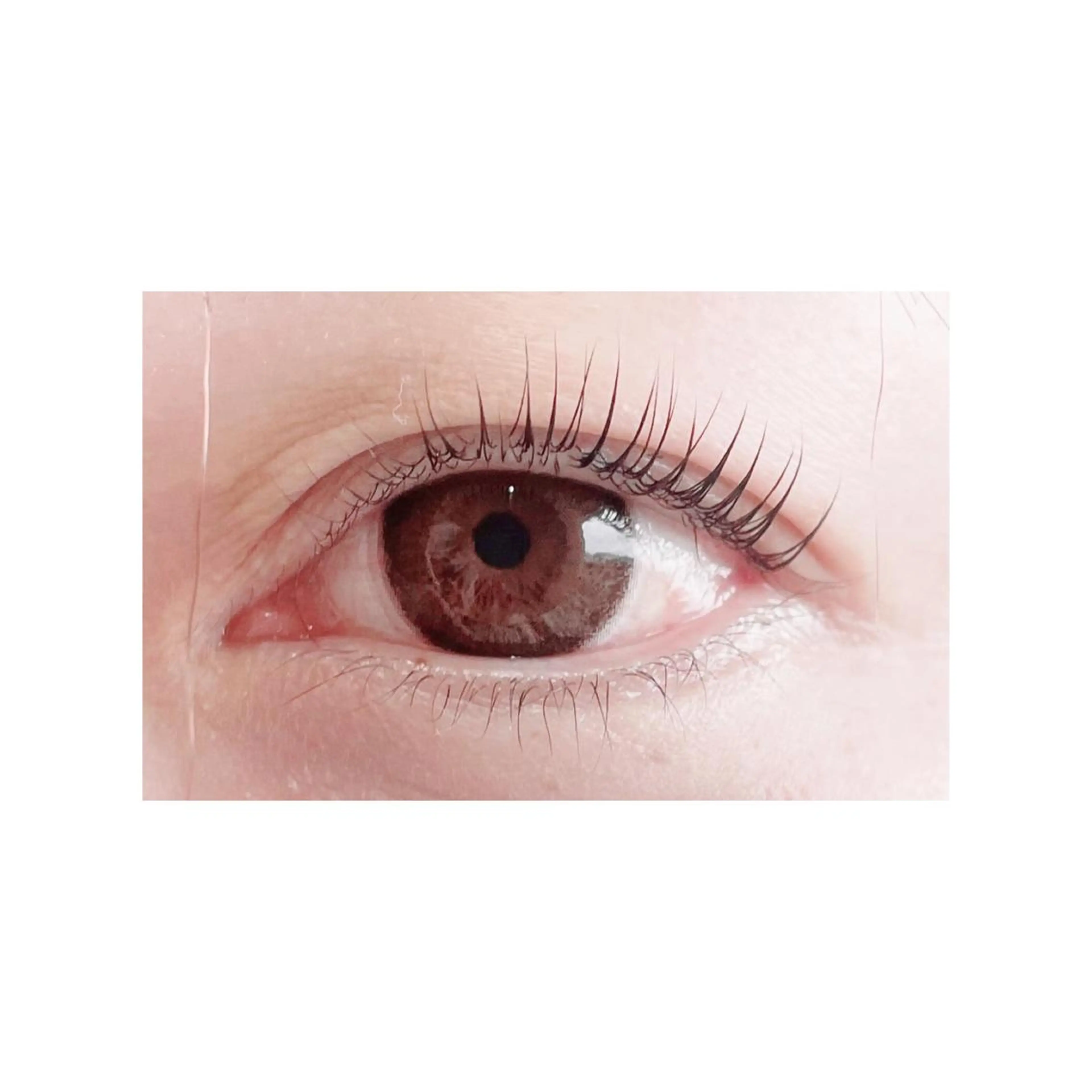 マツエク・マツパ マツパ THREE🌿🪞 ririのマツエク・マツパデザイン