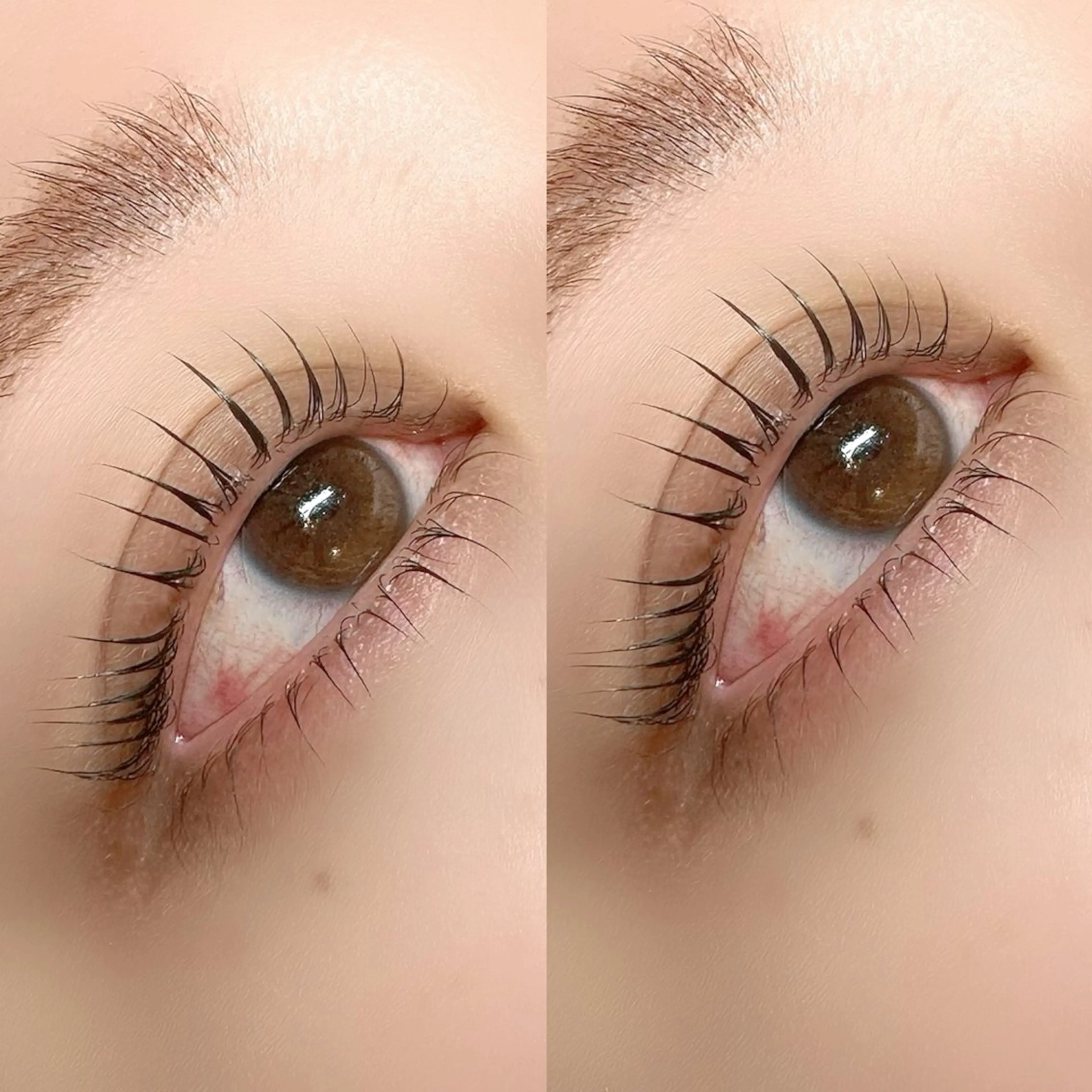 パリジェンヌラッシュリフト➕下まつげパーマ💎の写真