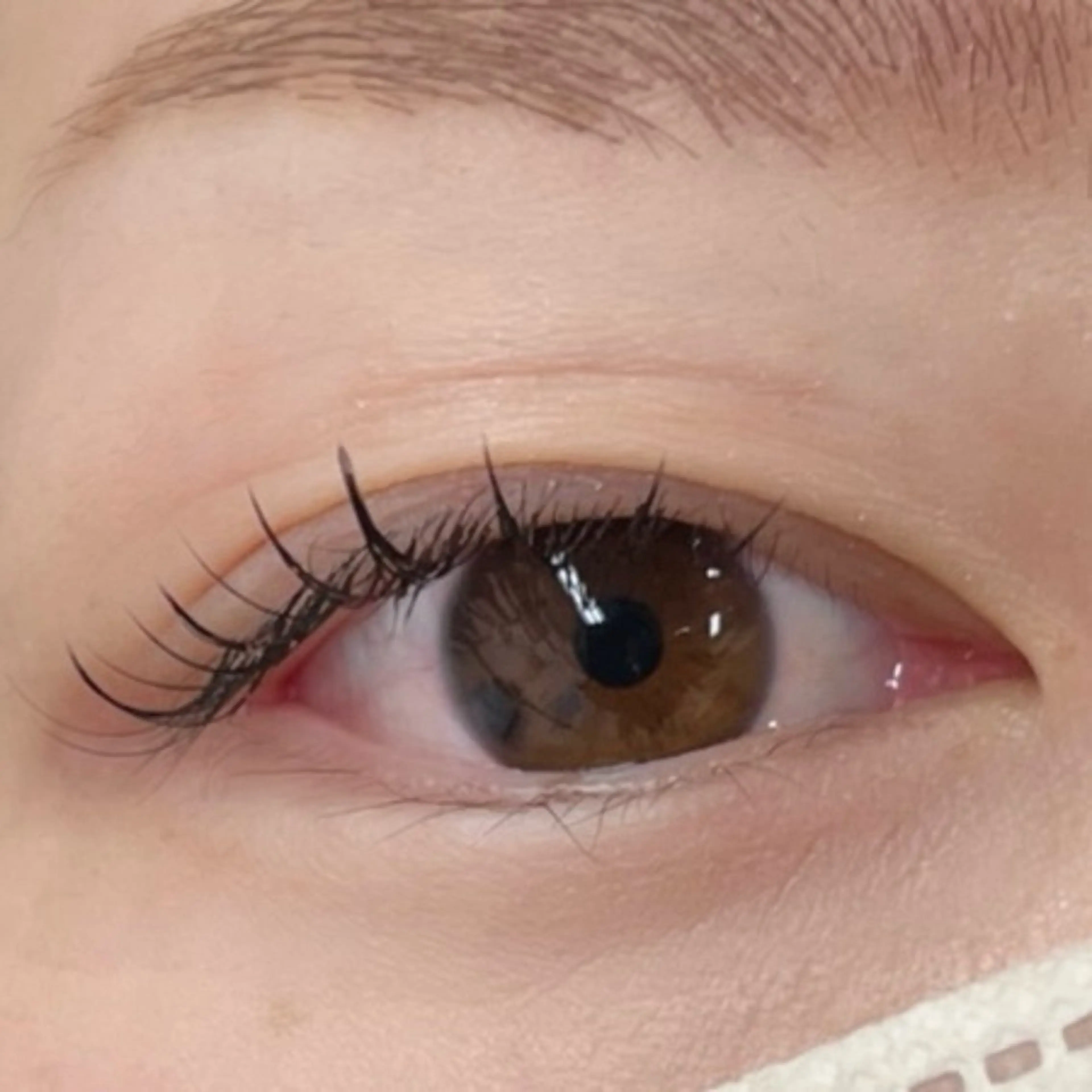 マツエク・マツパ ナチュラル マツエク Moe/韓国風/ 束感/キュート❤︎のマツエク・マツパデザイン