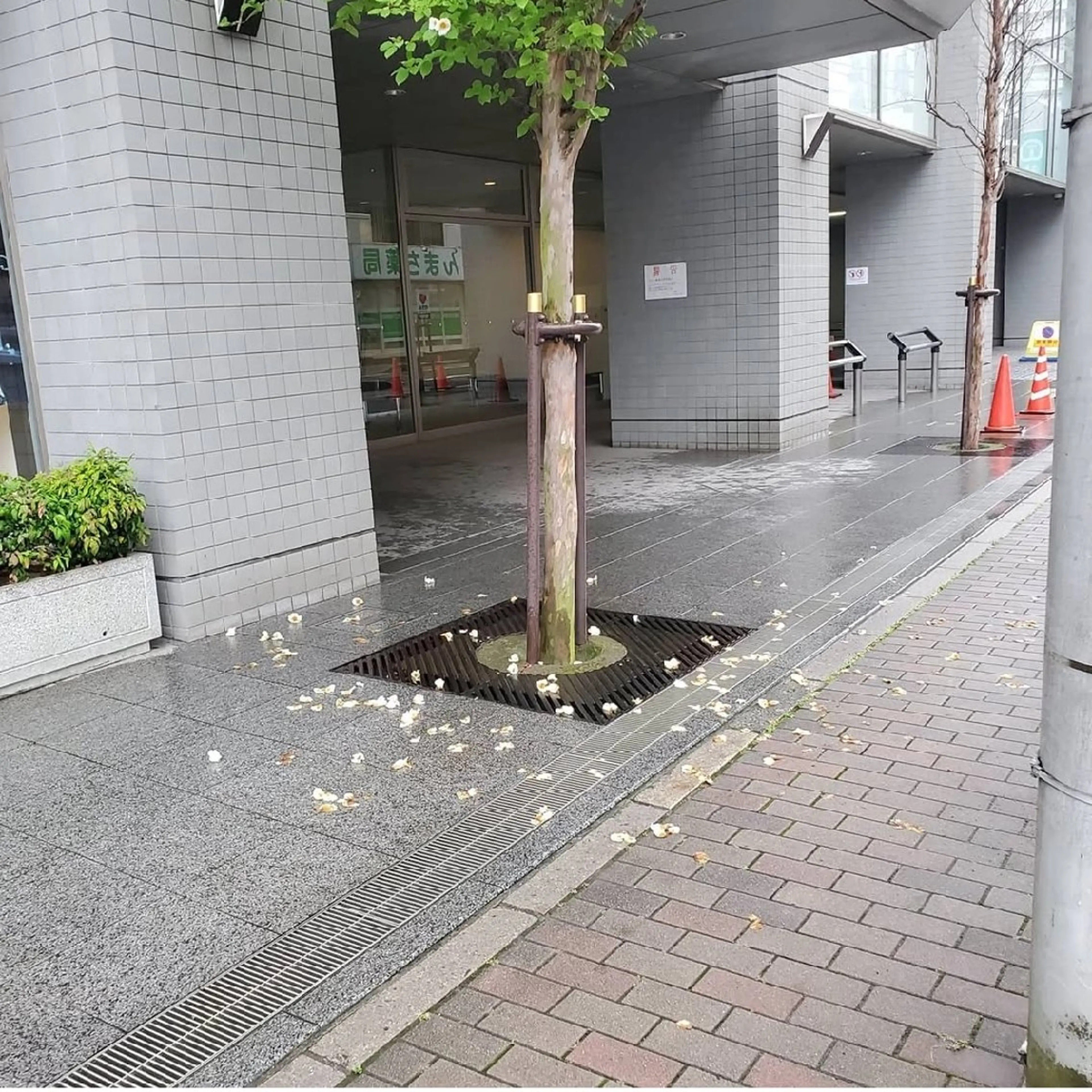 ヘアアレンジ GIFT所属・谷 結奈のヘアスタイル