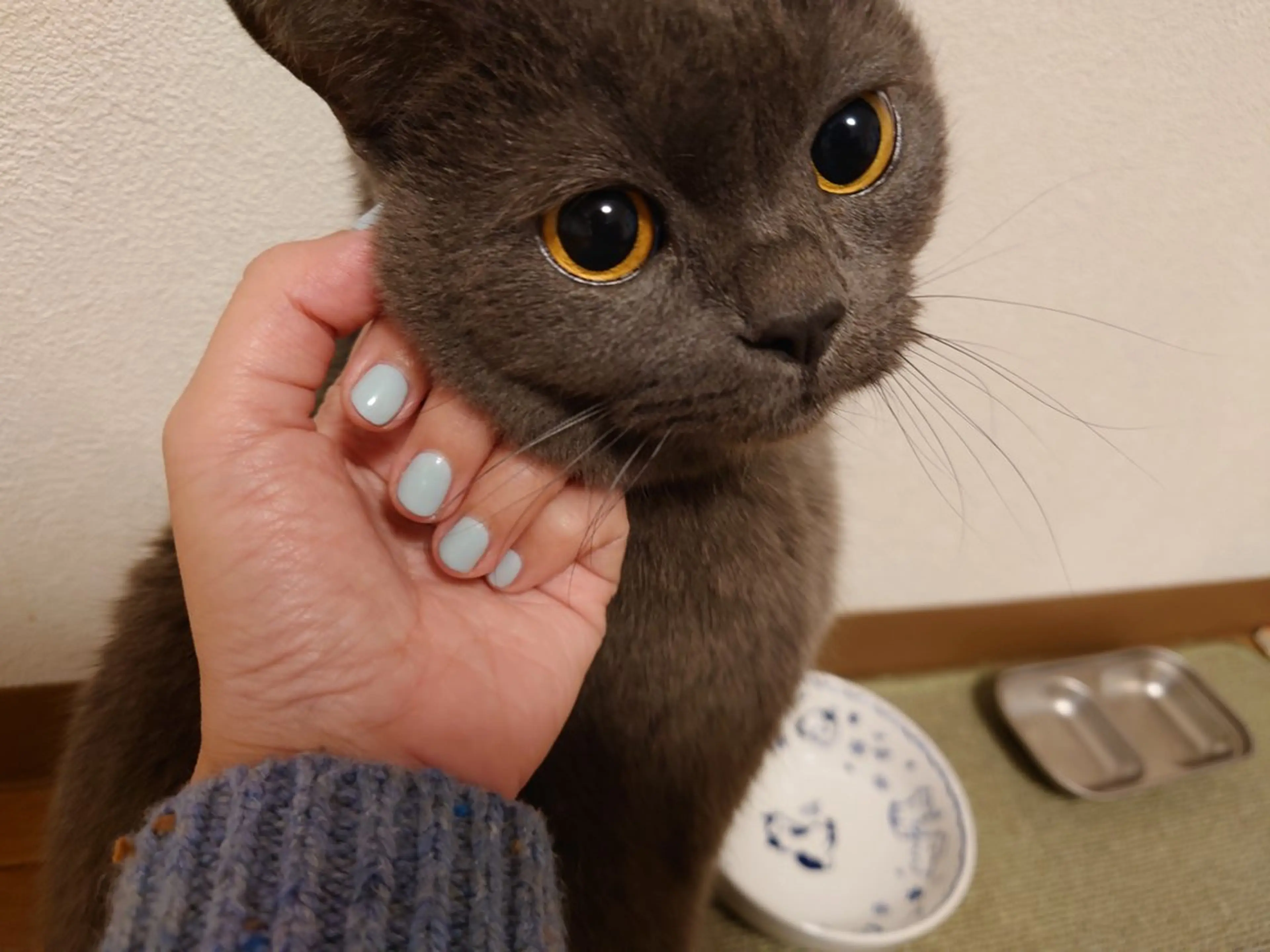 ネイル ハンドネイル モナ& ナナのネイルデザイン