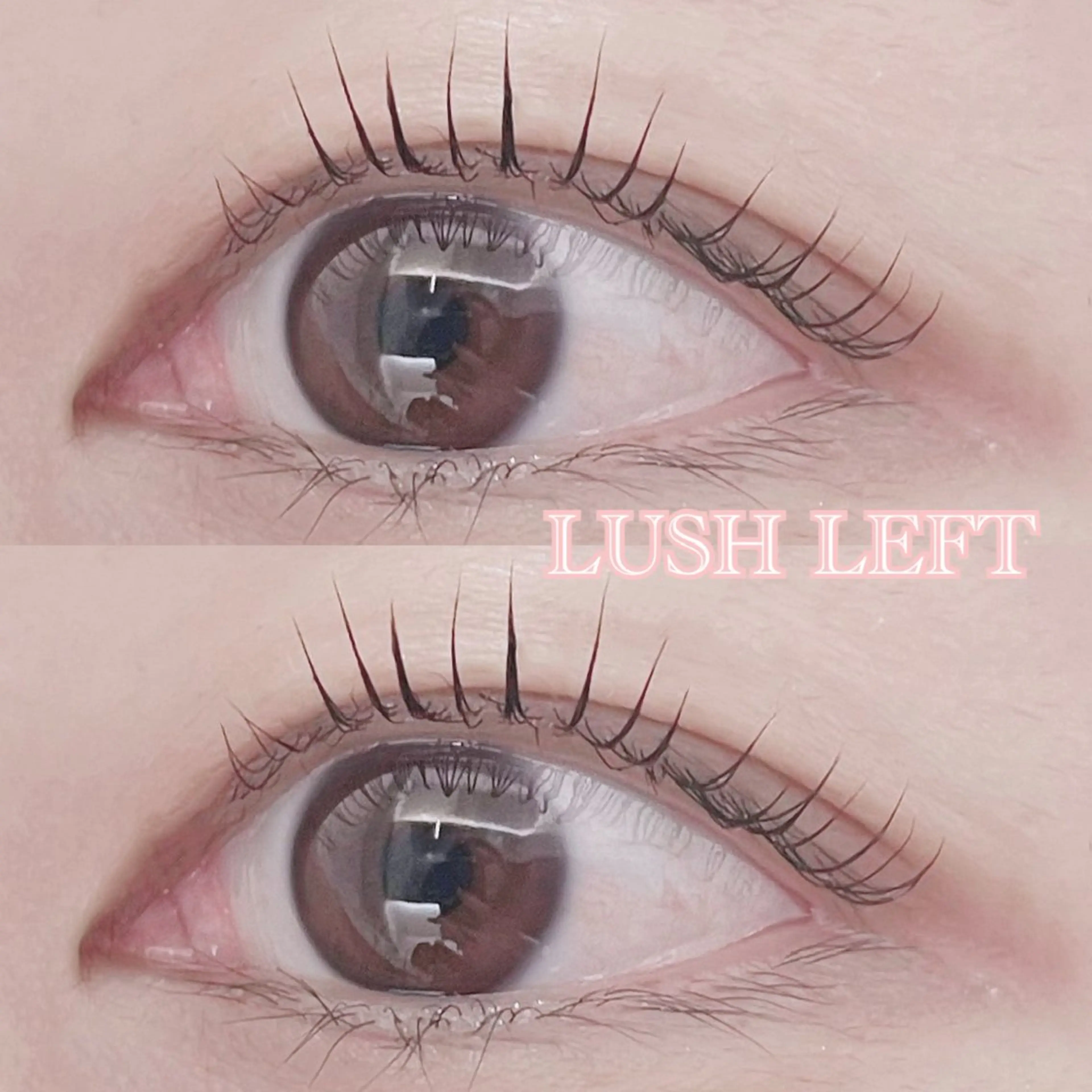 マツエク・マツパ 束感まつ毛 韓国風マツエク マツパ 🌷花屋併設🌷 西松さらのマツエク・マツパデザイン