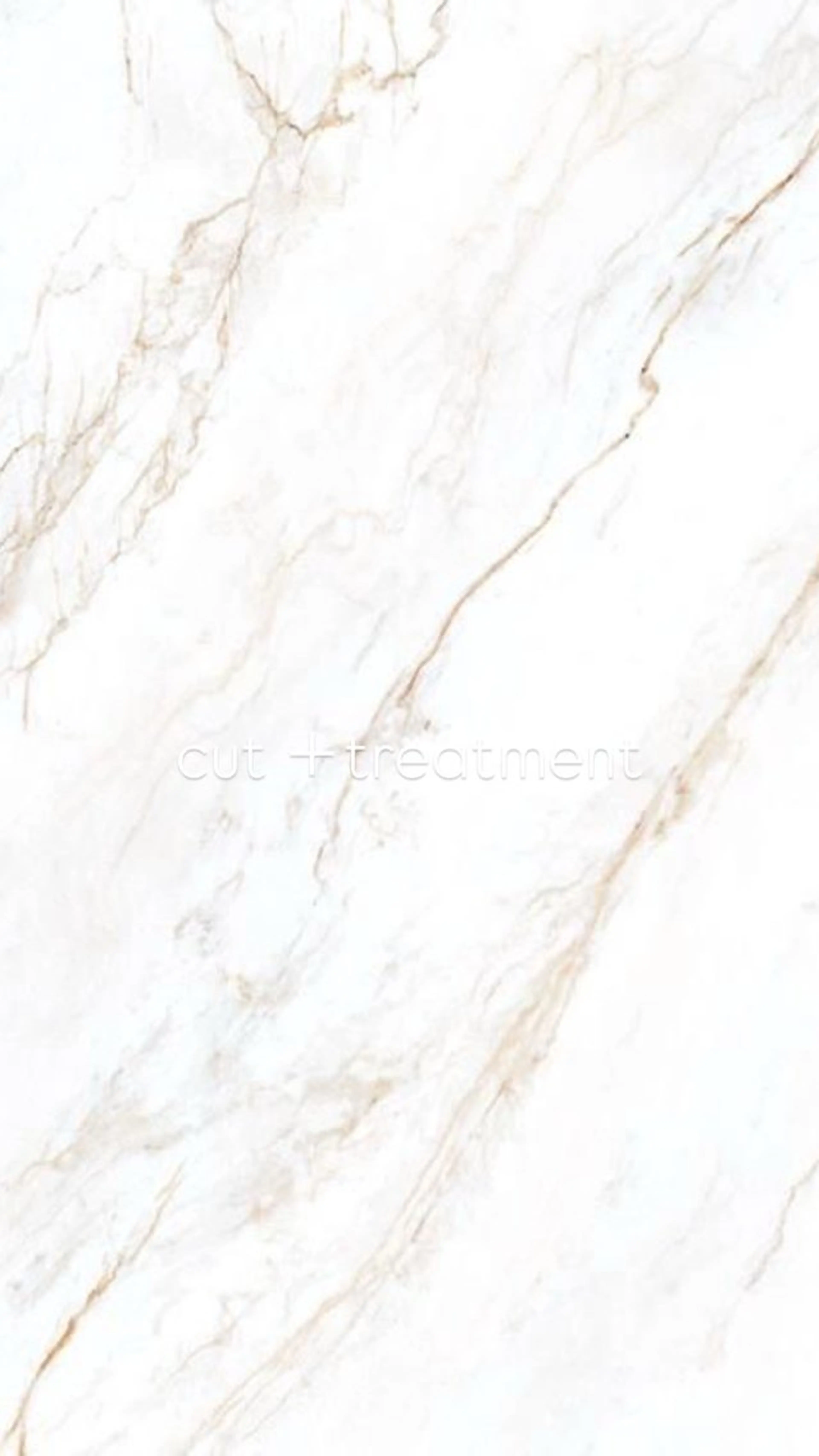 カット＋リンケージトリートメントの写真