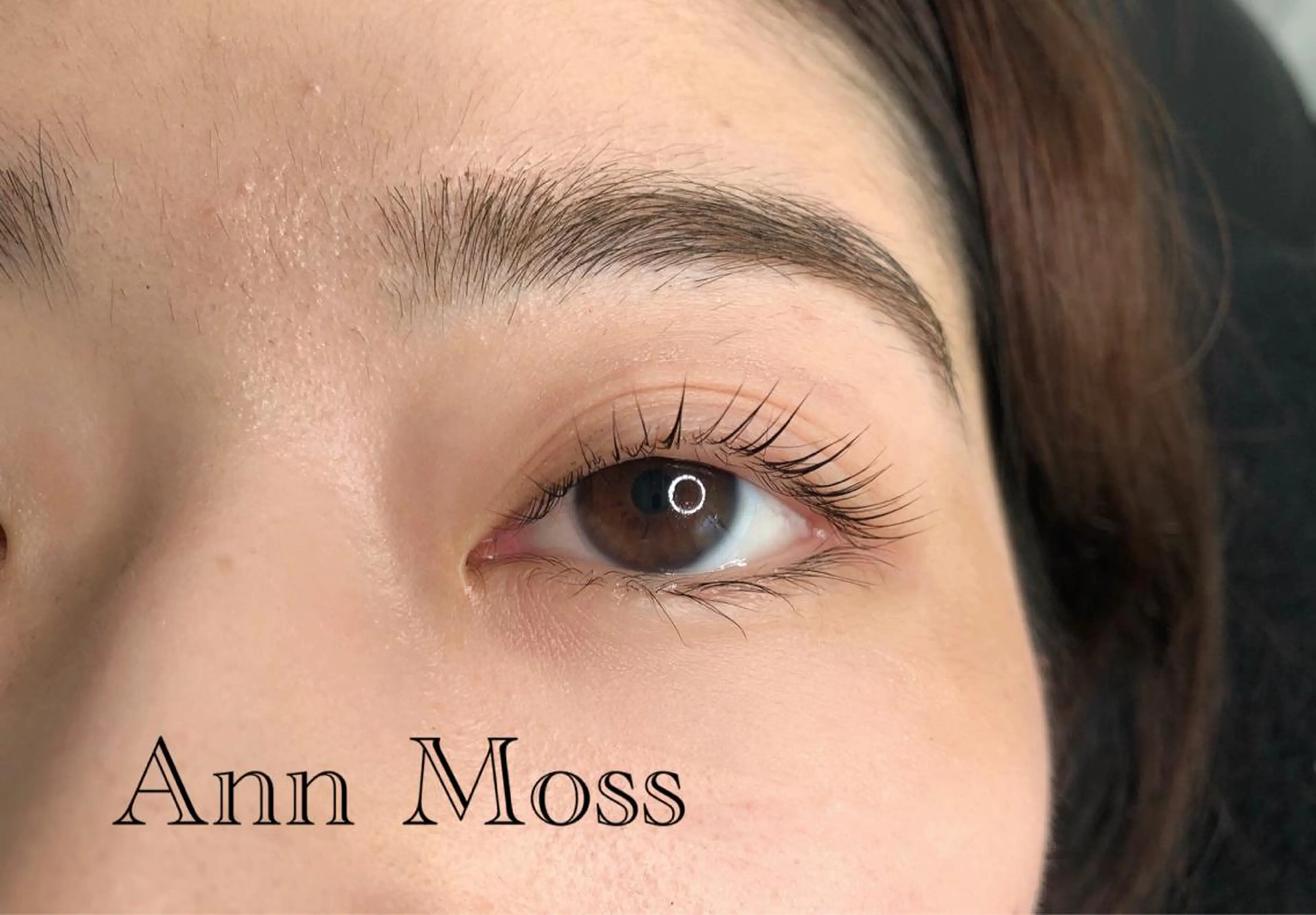 マツエク・マツパ ケラチンラッシュリフト 無料モデル募集中 Ann Mossのマツエク・マツパデザイン
