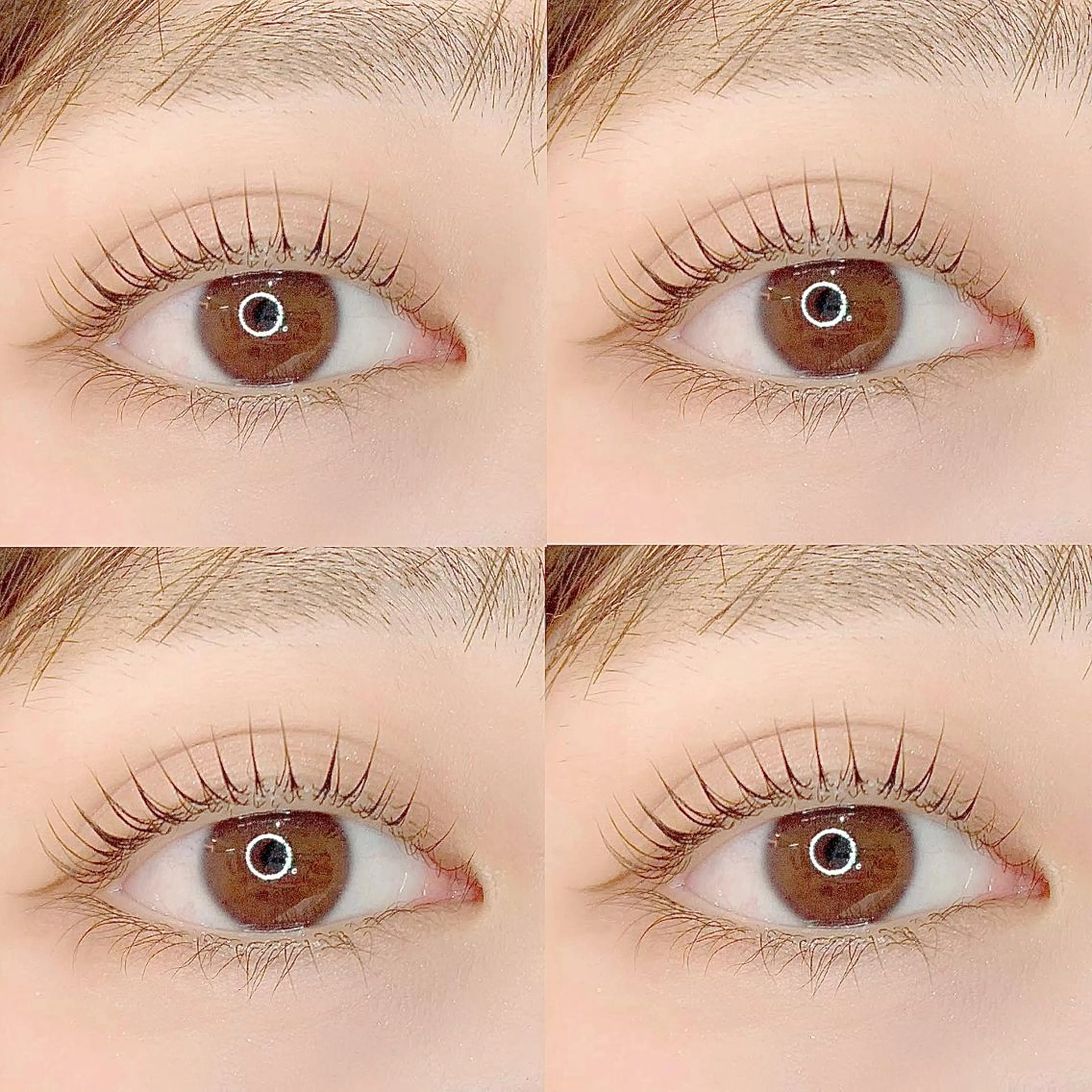 マツエク・マツパ まつげパーマ Very 井上の眉毛・アイブロウイメージ