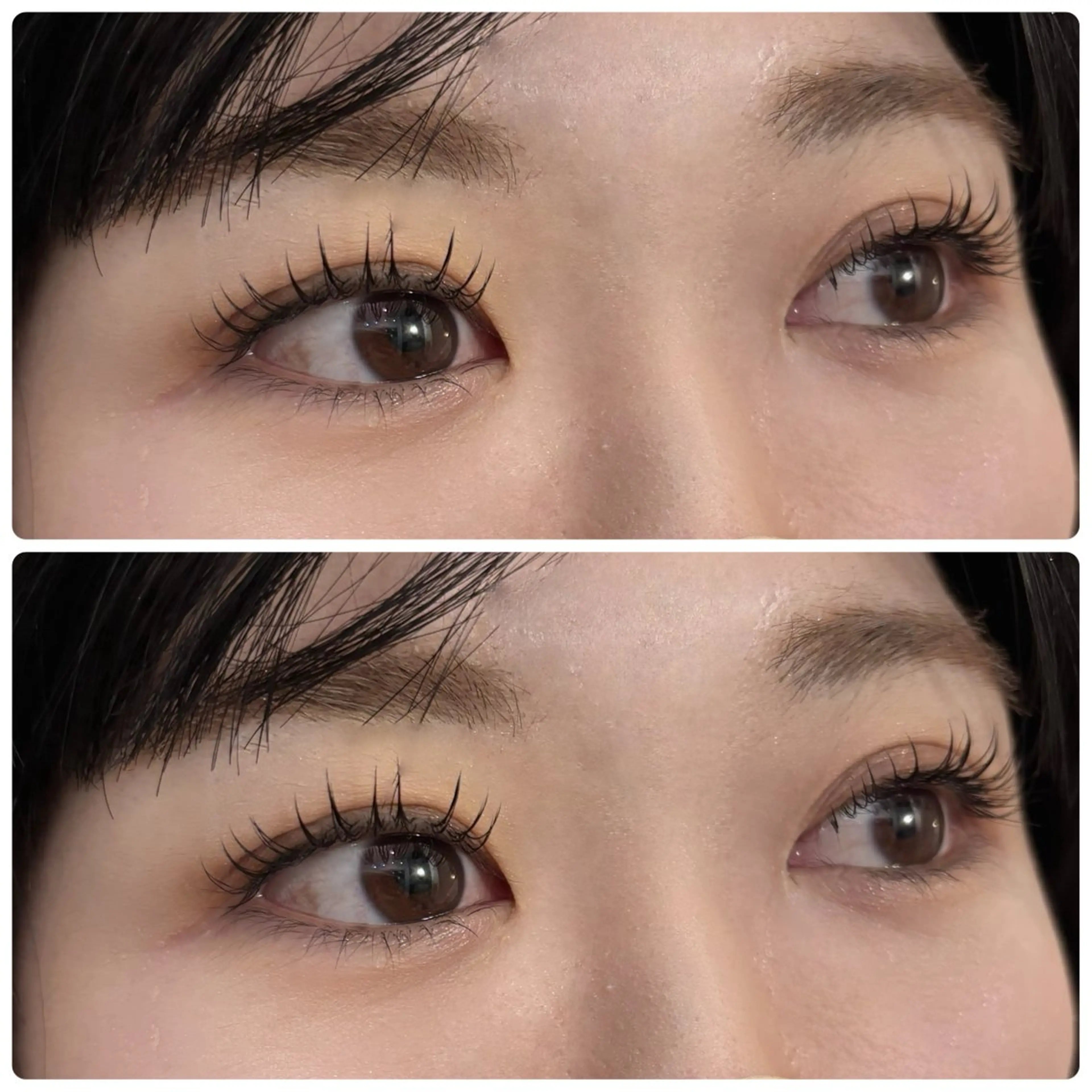 マツエク・マツパ Cカール フラットラッシュ ナチュラル Folche 博多 💄アイリスト💖のマツエク・マツパデザイン