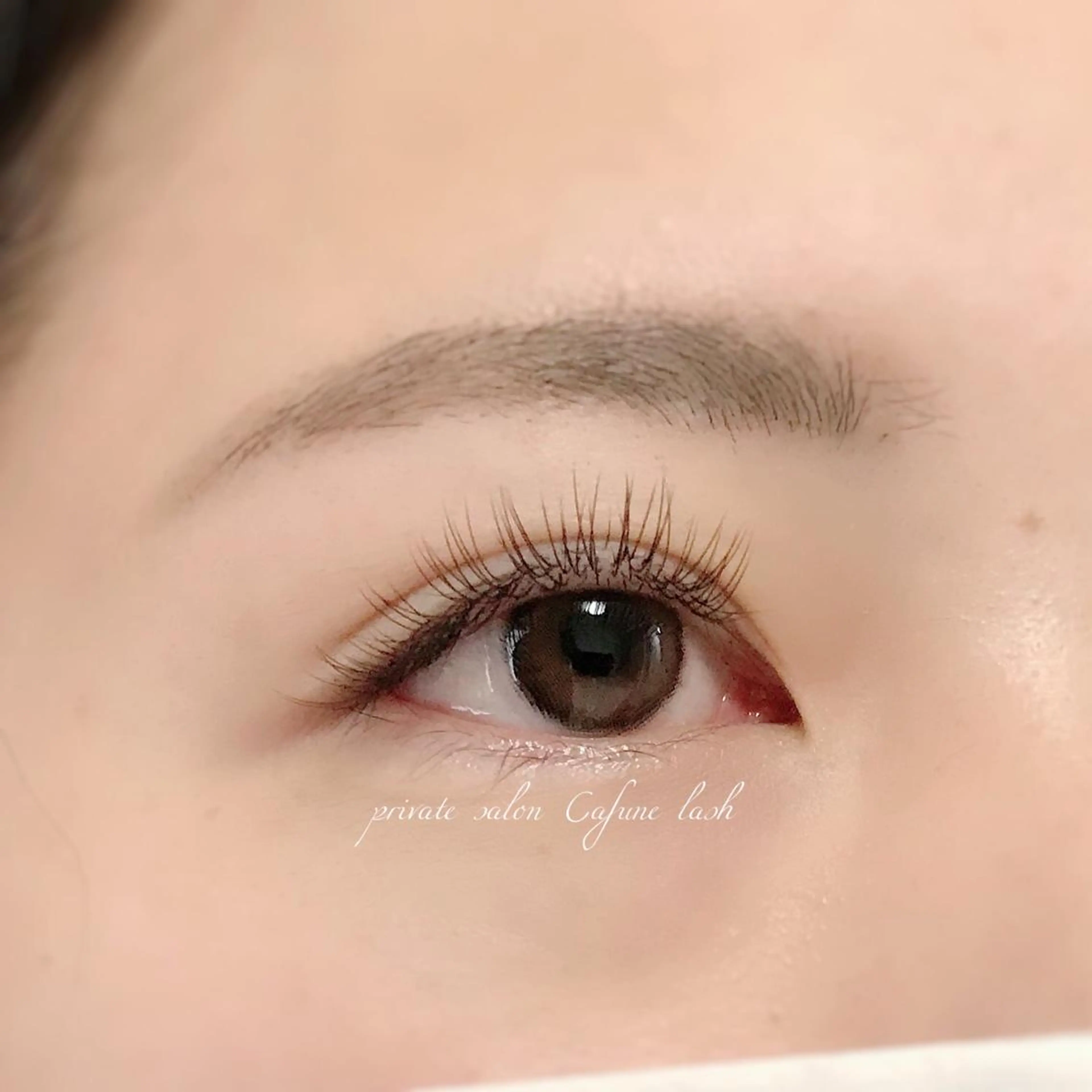 モデル様募集☆シングル100本まで　♢フラットラッシュ、ブラウンエクステ、セーブルから選べますの写真