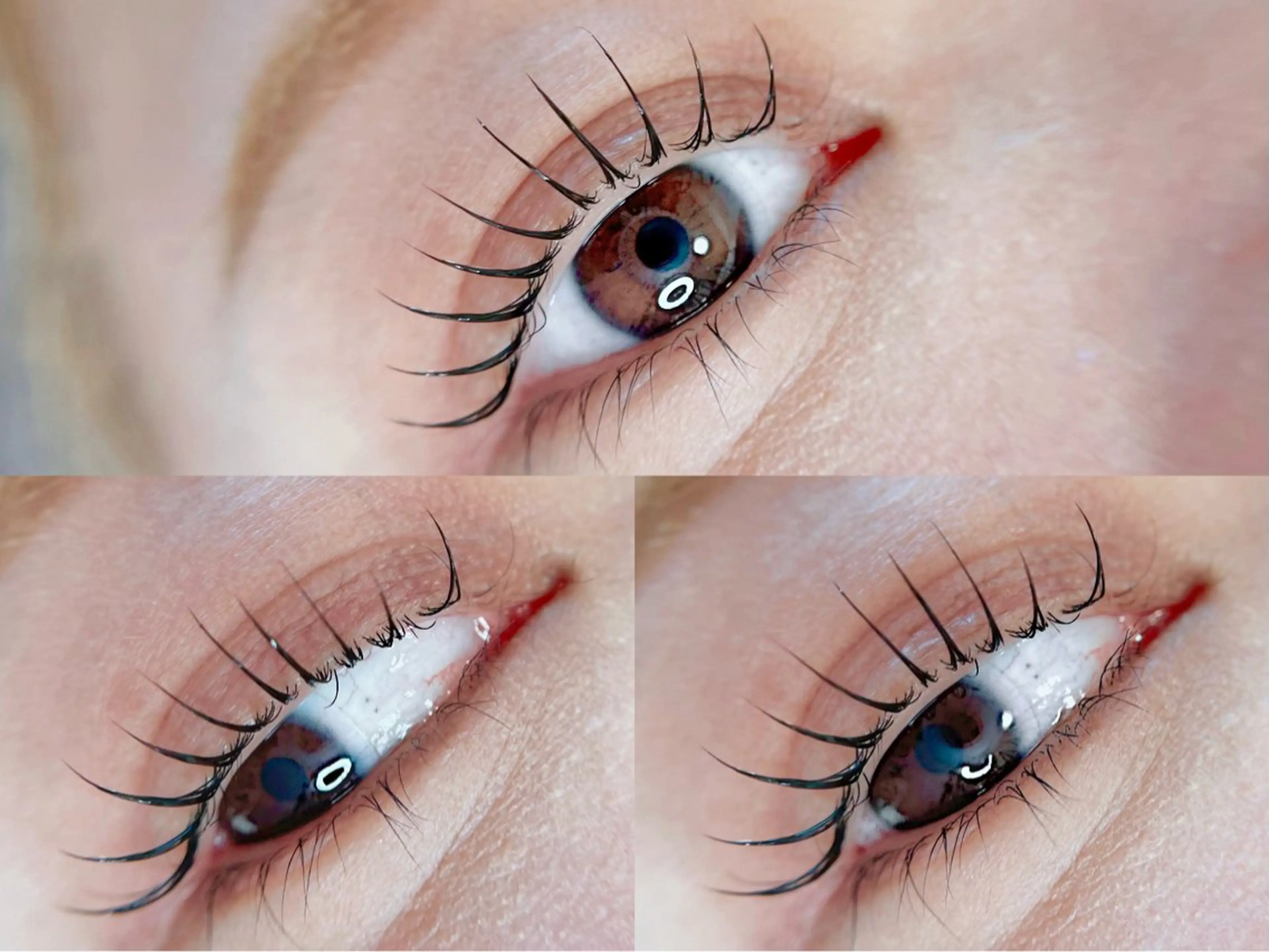 マツエク・マツパ マツパ まつ毛、眉毛 専門店🎀🐻のマツエク・マツパデザイン