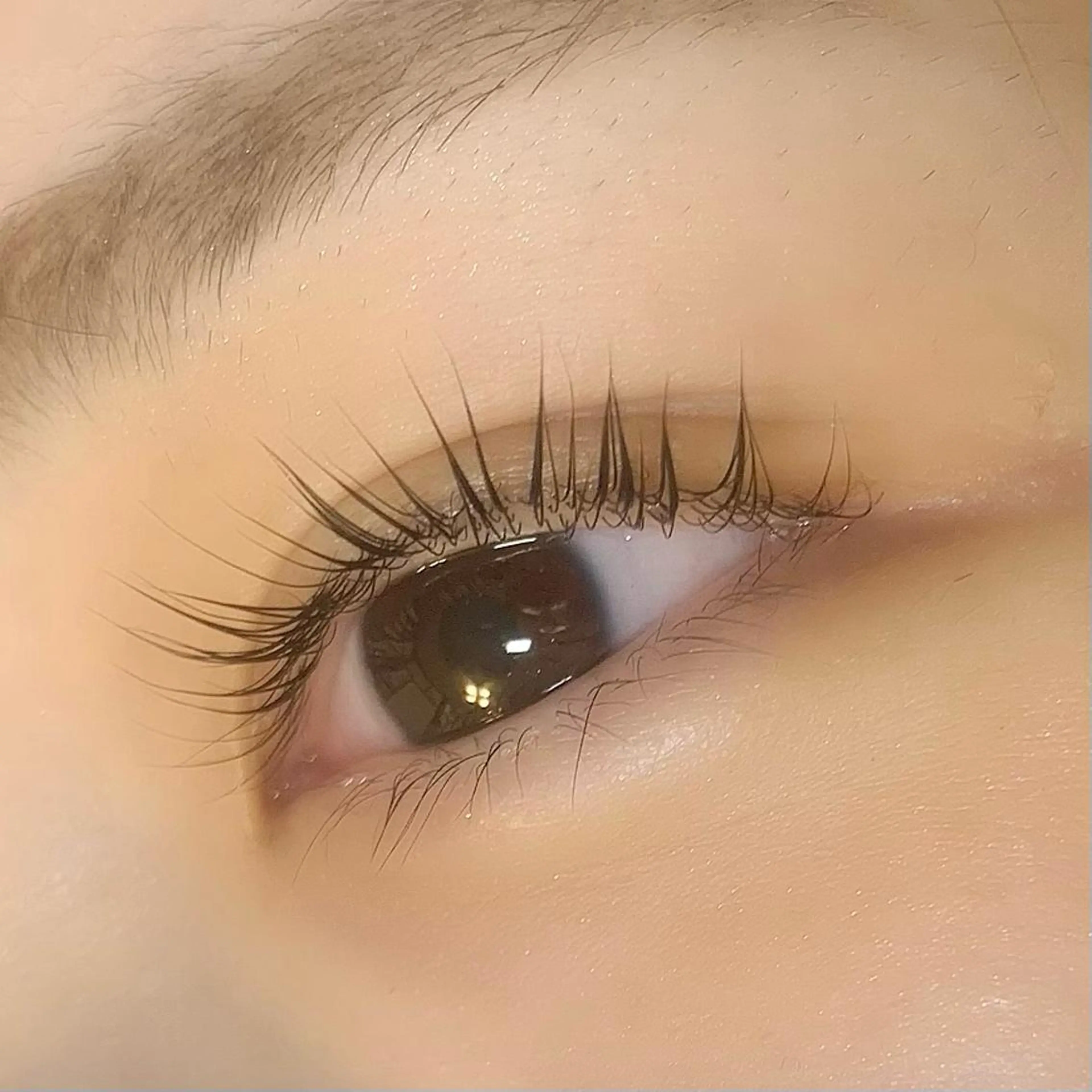 マツエク・マツパ パリジェンヌラッシュリフト Celeste Venus所属・🧸Celeste Venusのマツエク・マツパデザイン