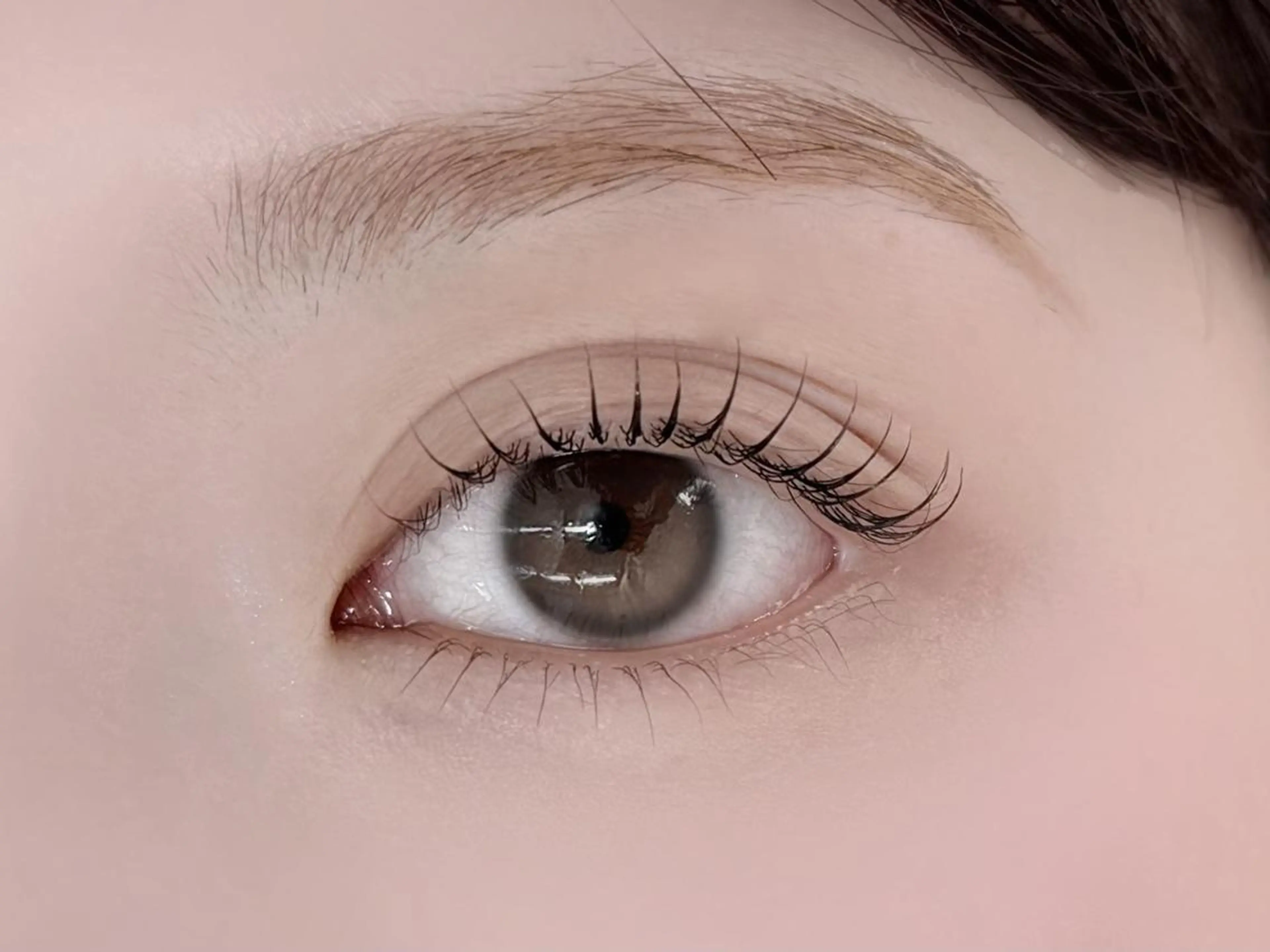 【モデル様募集】パリジェンヌ or ラッシュリフト ※オフなし限定の写真