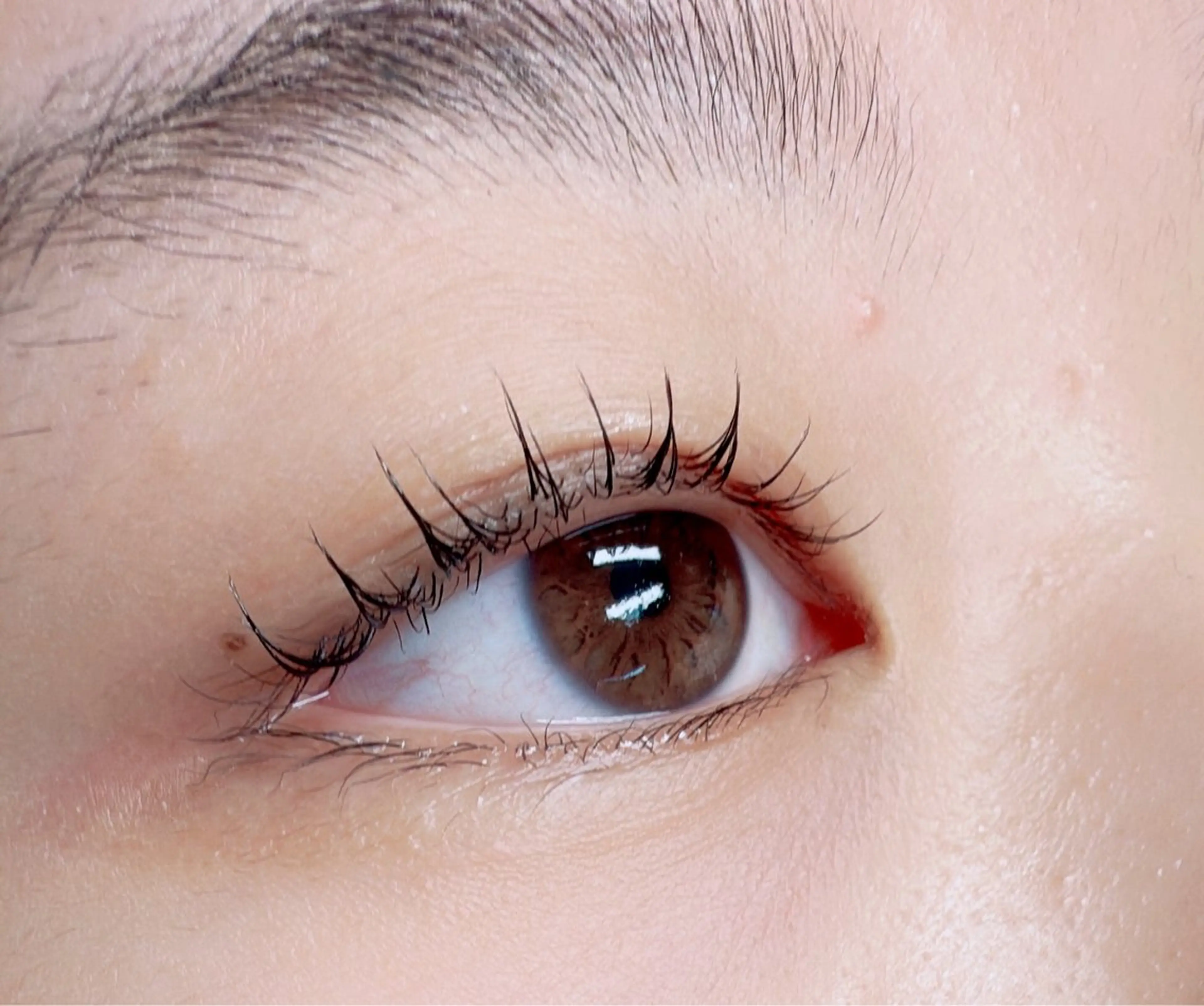 カク エイジュンのマツエク・マツパデザイン