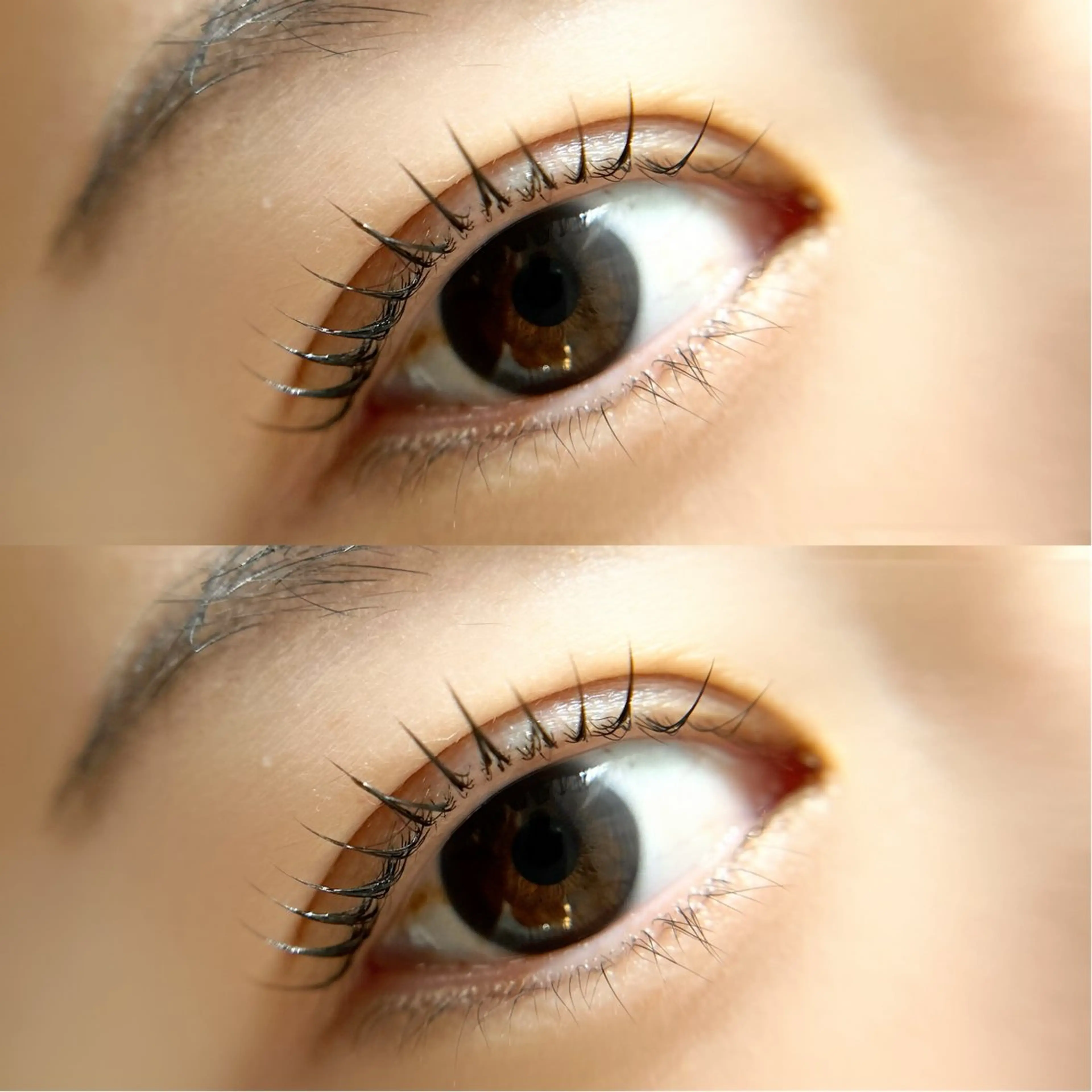 マツエク・マツパ peTiT京橋店🌷 yuiのマツエク・マツパデザイン