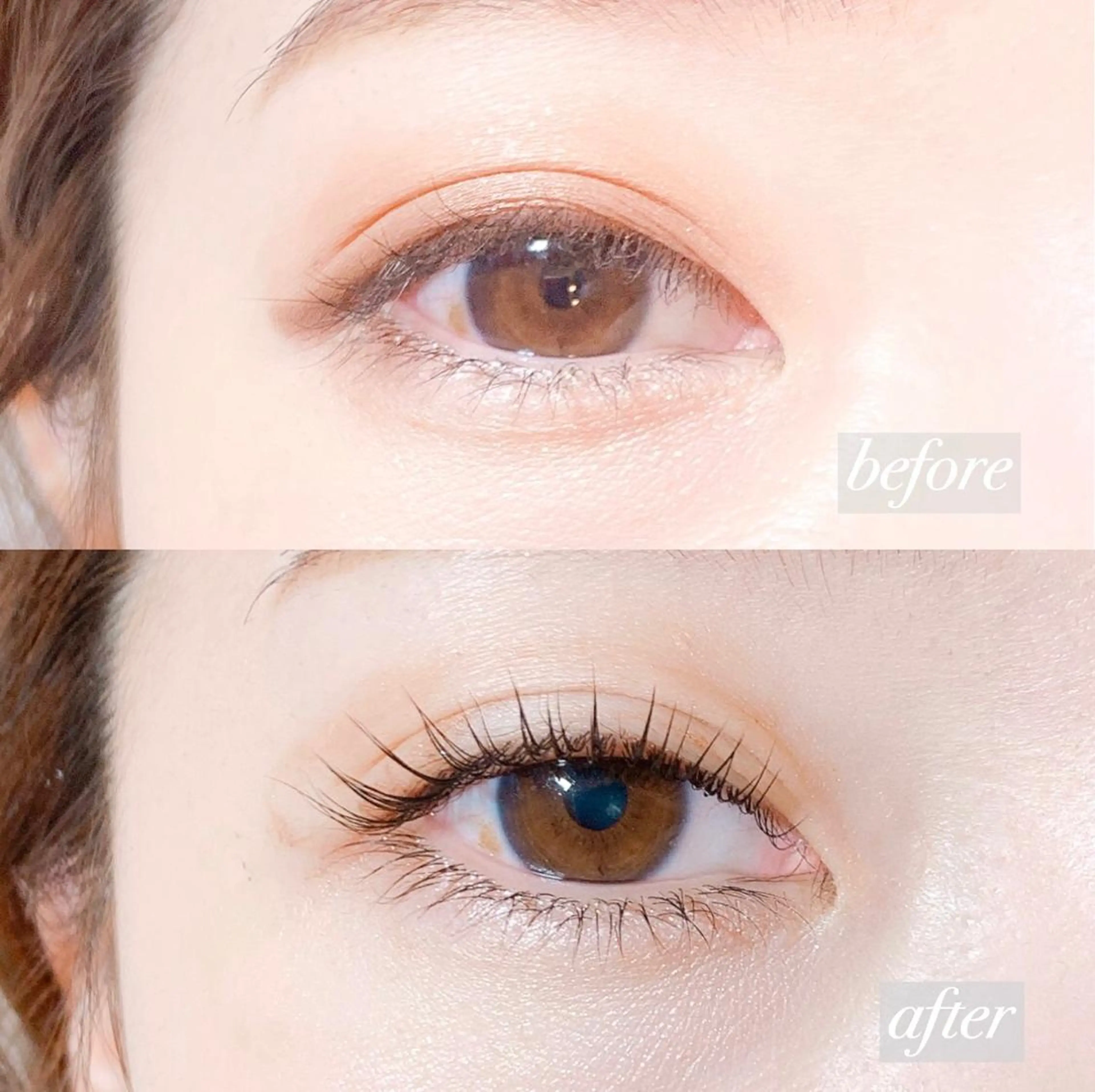 【⚠️平日限定！早い者勝ち⭐【パリジェンヌラッシュリフト】￥3980の写真