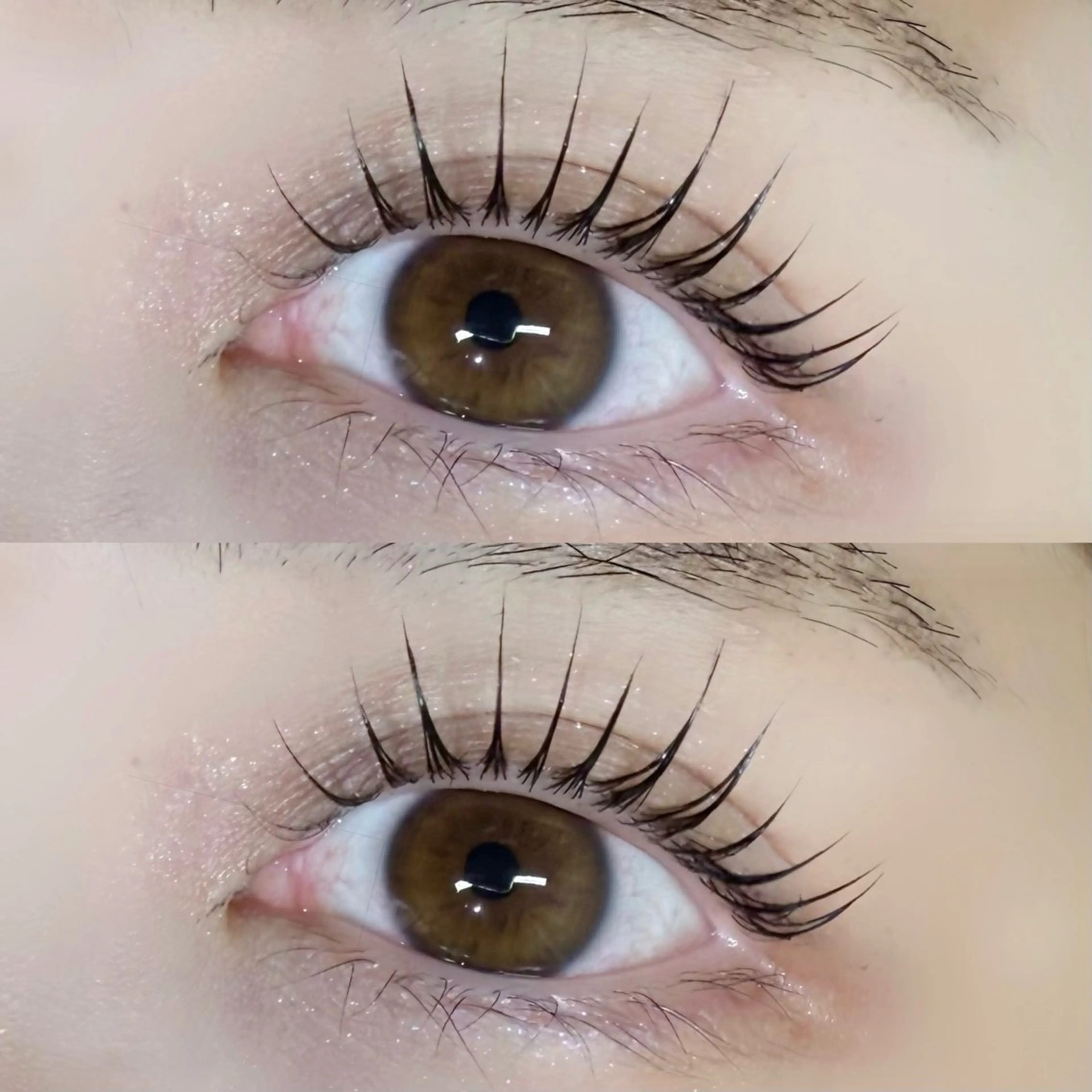 パリジェンヌラッシュリフト🩷 トリートメント付✨ご新規様4500円/再来様5500円の写真