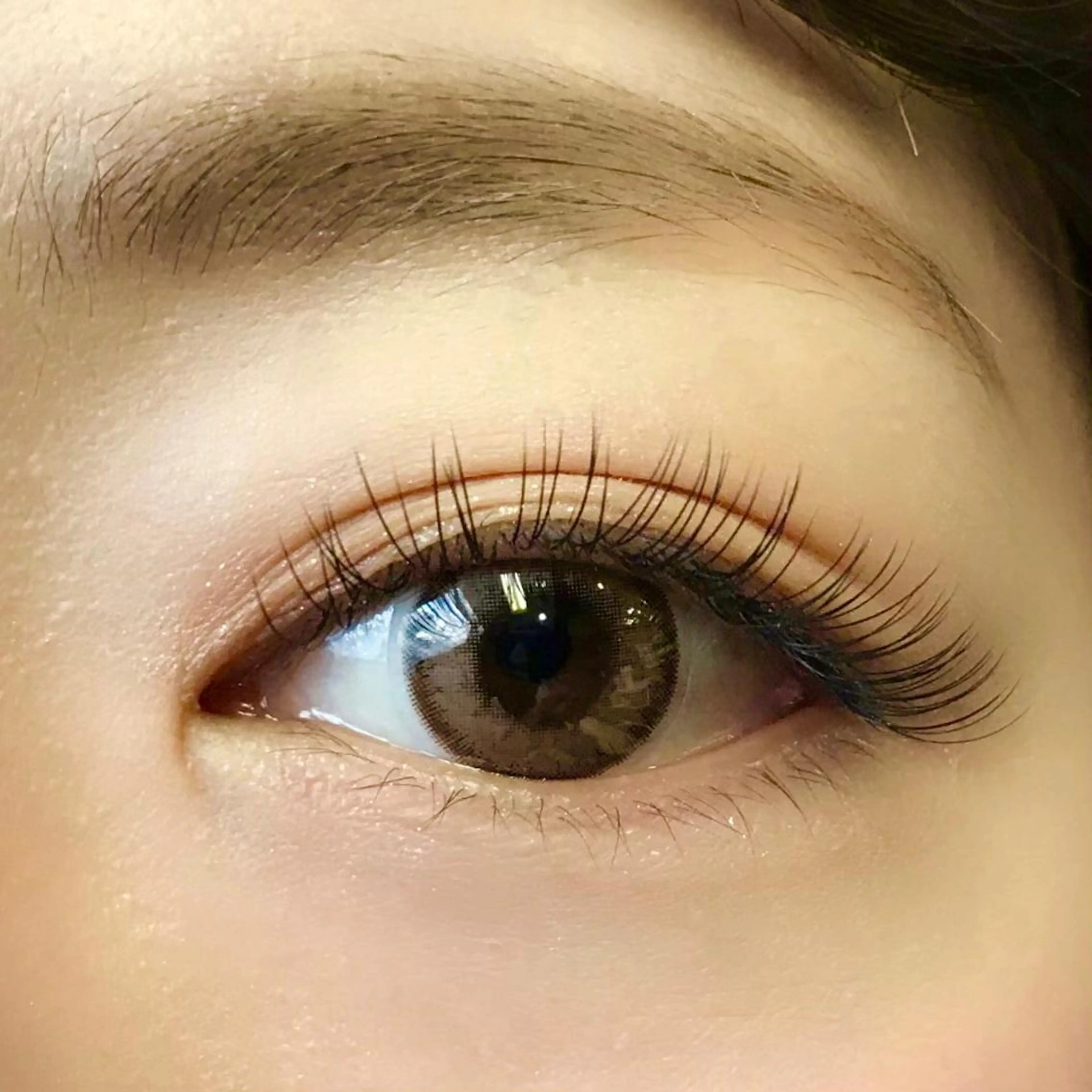 お付け足しに❣️フラットラッシュ50本の写真