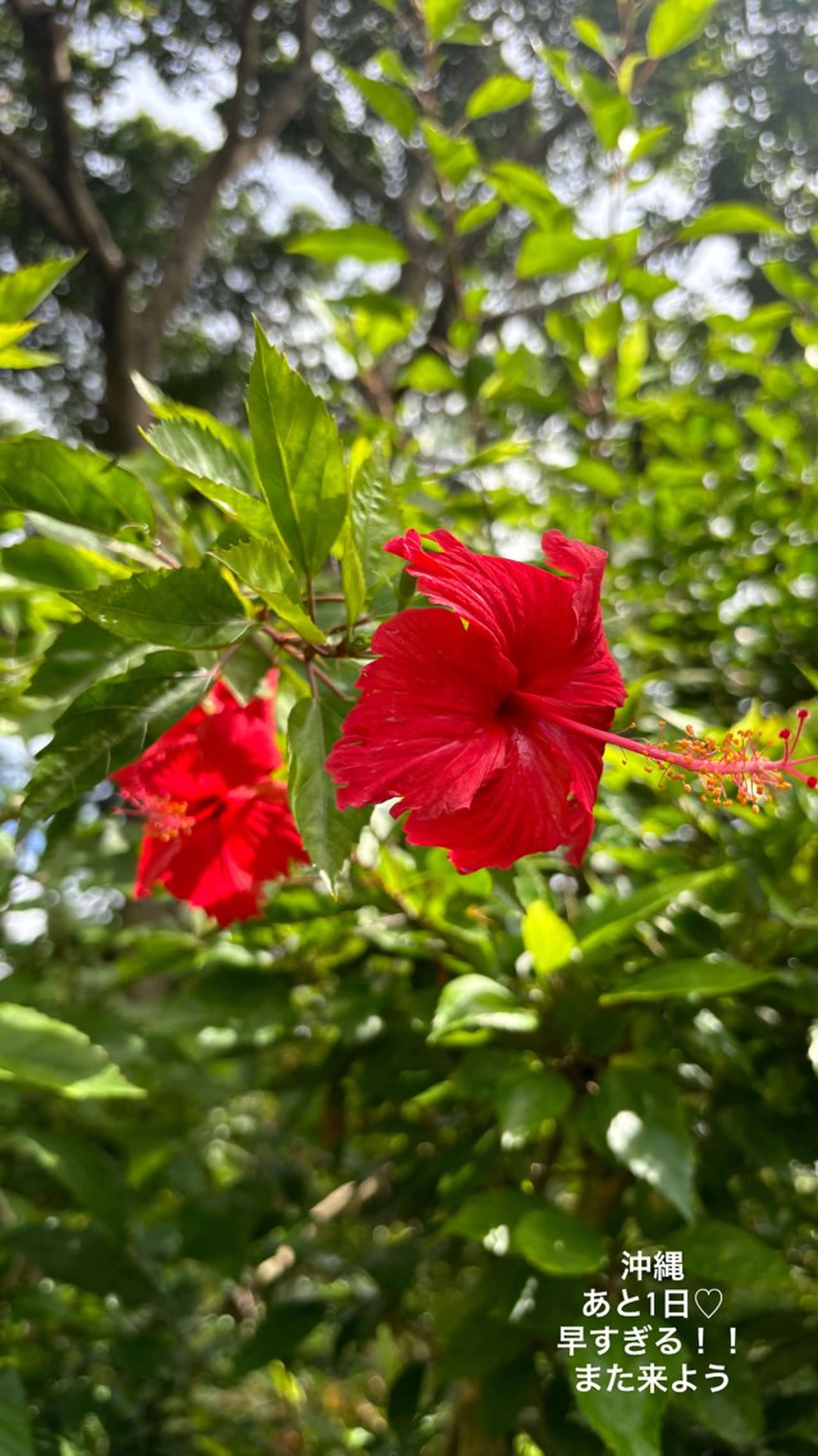 ハーブピーリング専門 毛穴洗浄❤️眉waxのエステ・リラクイメージ