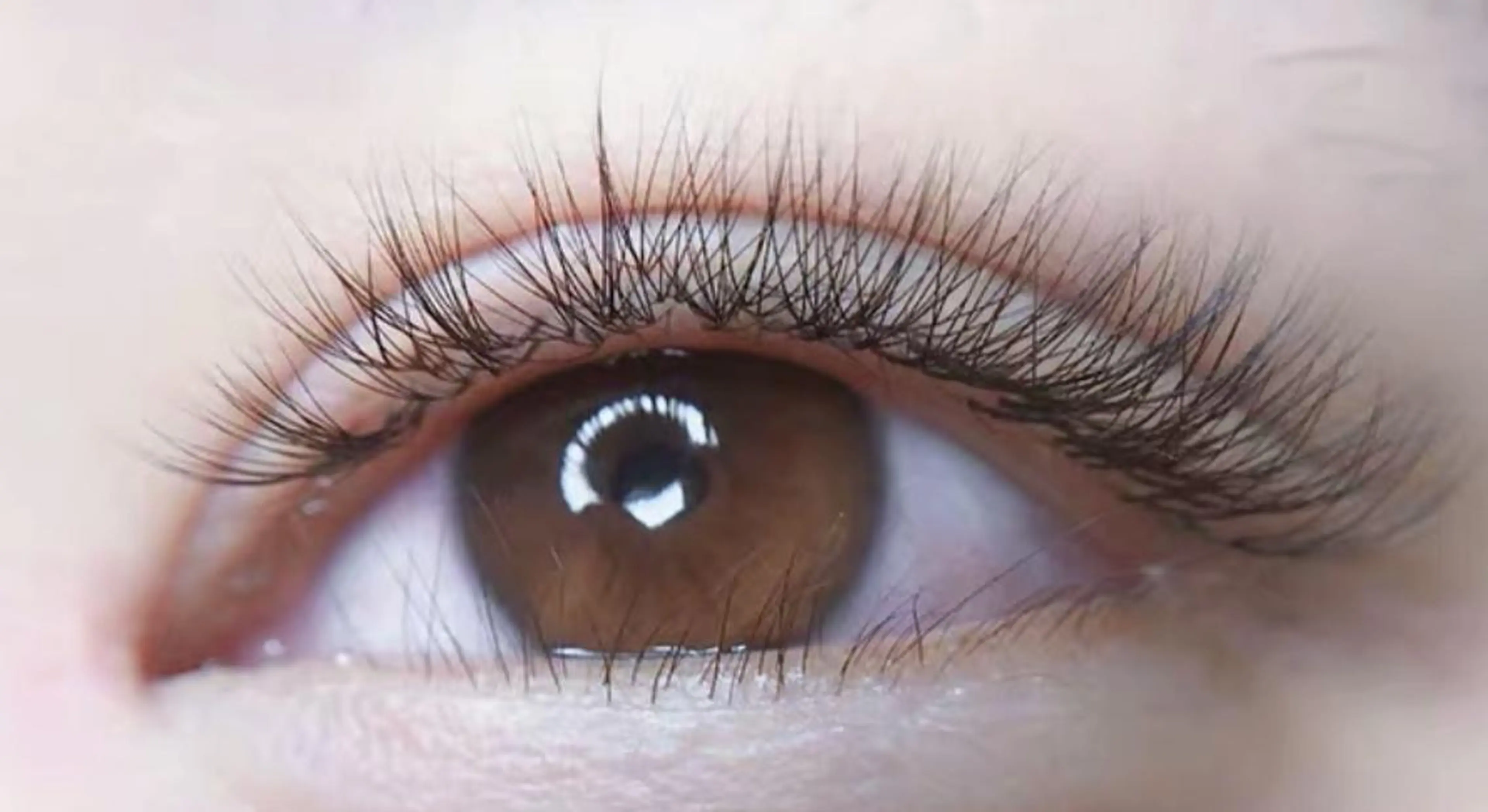 マツエク・マツパ Cute B e au t yのマツエク・マツパデザイン