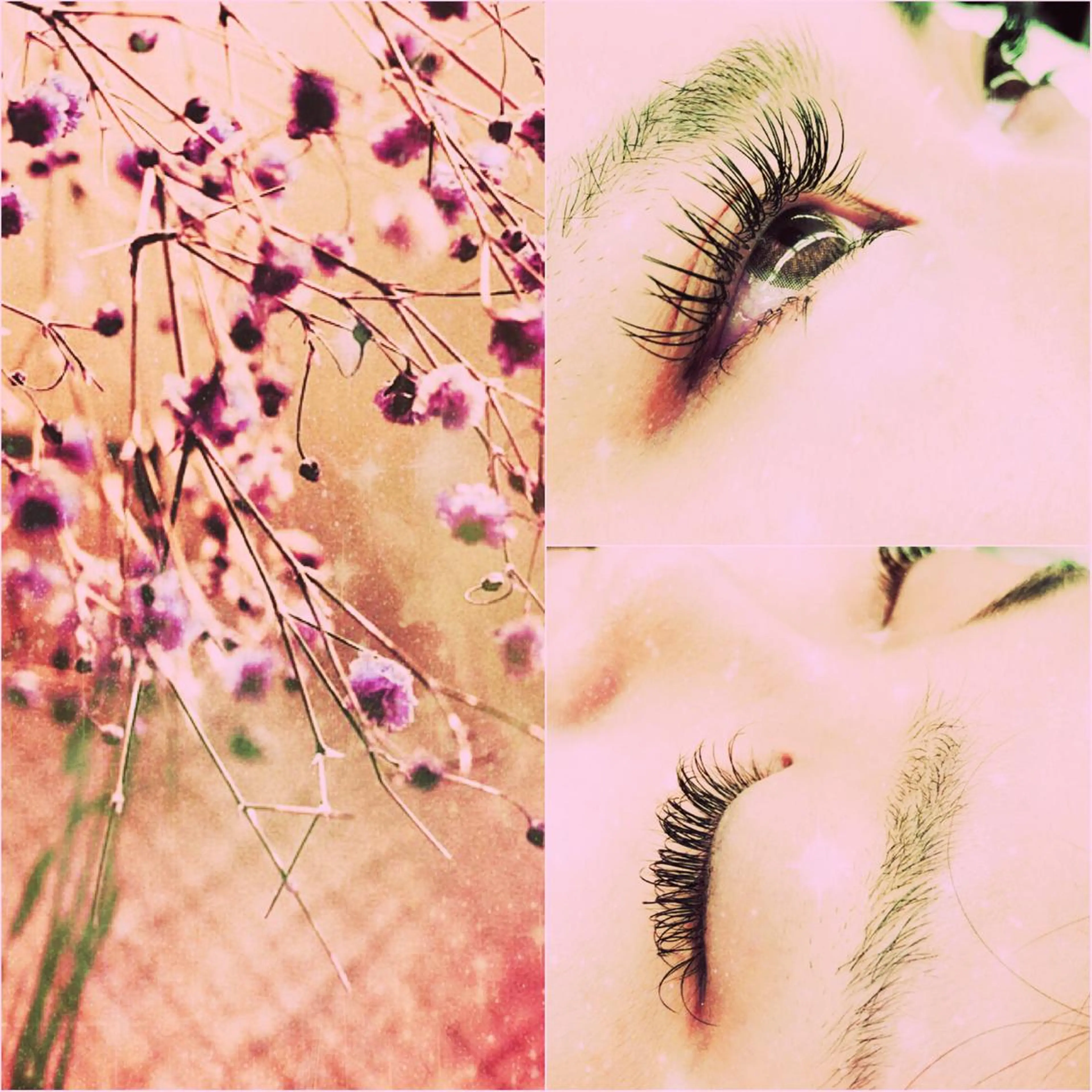 マツエク・マツパ Dカール セーブル セクシー 🦋Dio...川越 MINAKI🦋のマツエク・マツパデザイン