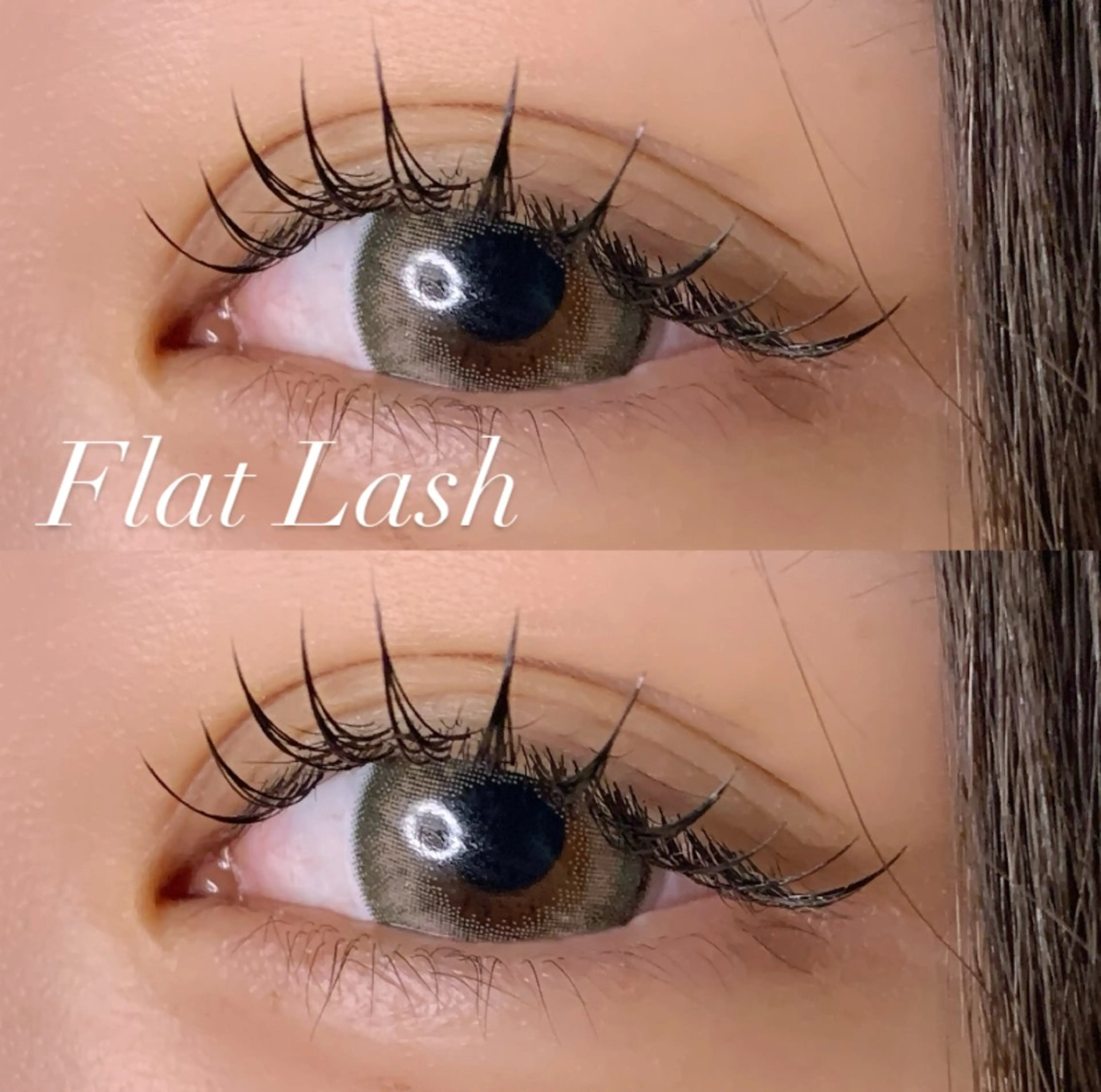 マツエク・マツパ フラットラッシュ マツエク Ayumi.pro 🍆N《4階》のマツエク・マツパデザイン