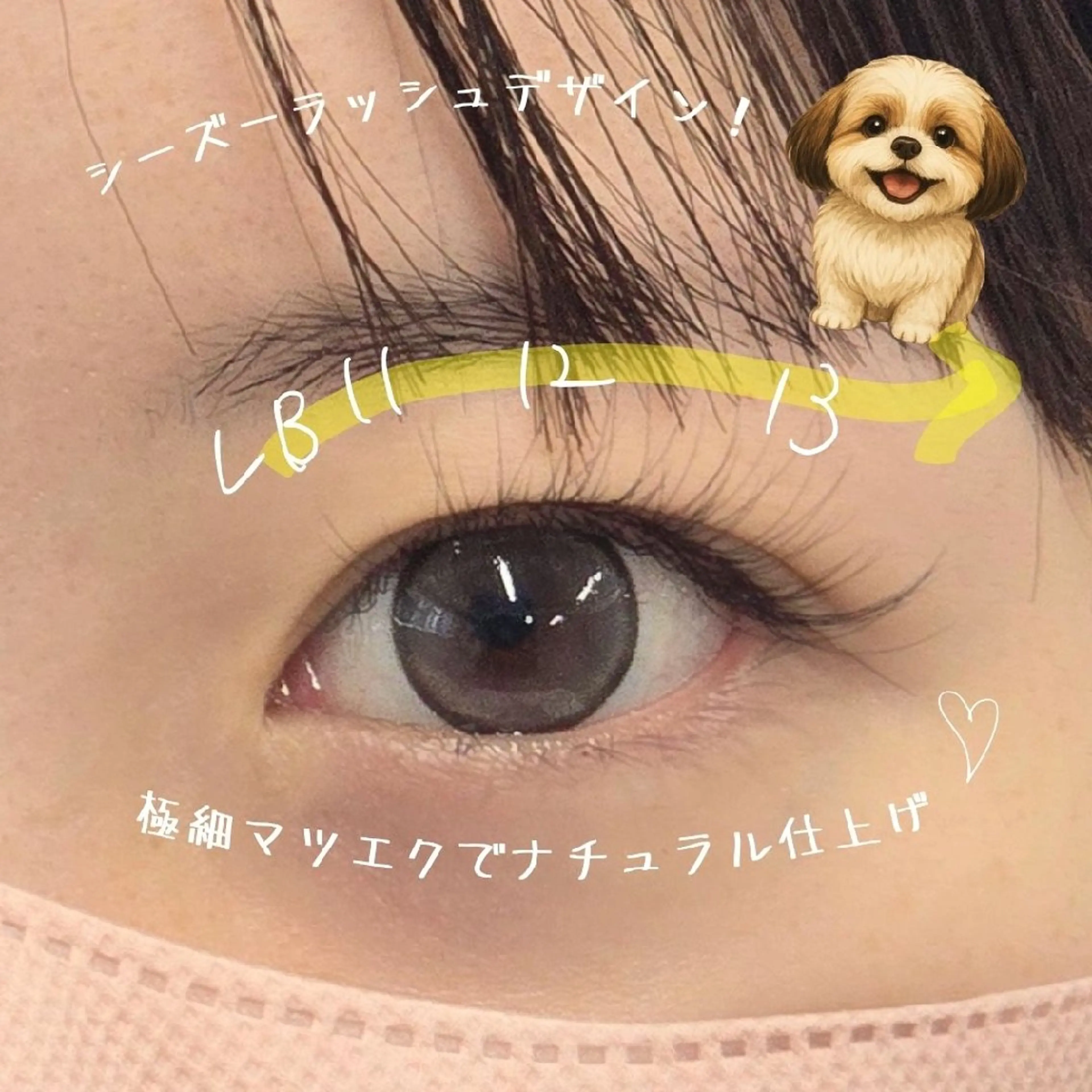 マツエク・マツパ キュート 目尻長め ナチュラル マツエク フジ ワラのマツエク・マツパデザイン