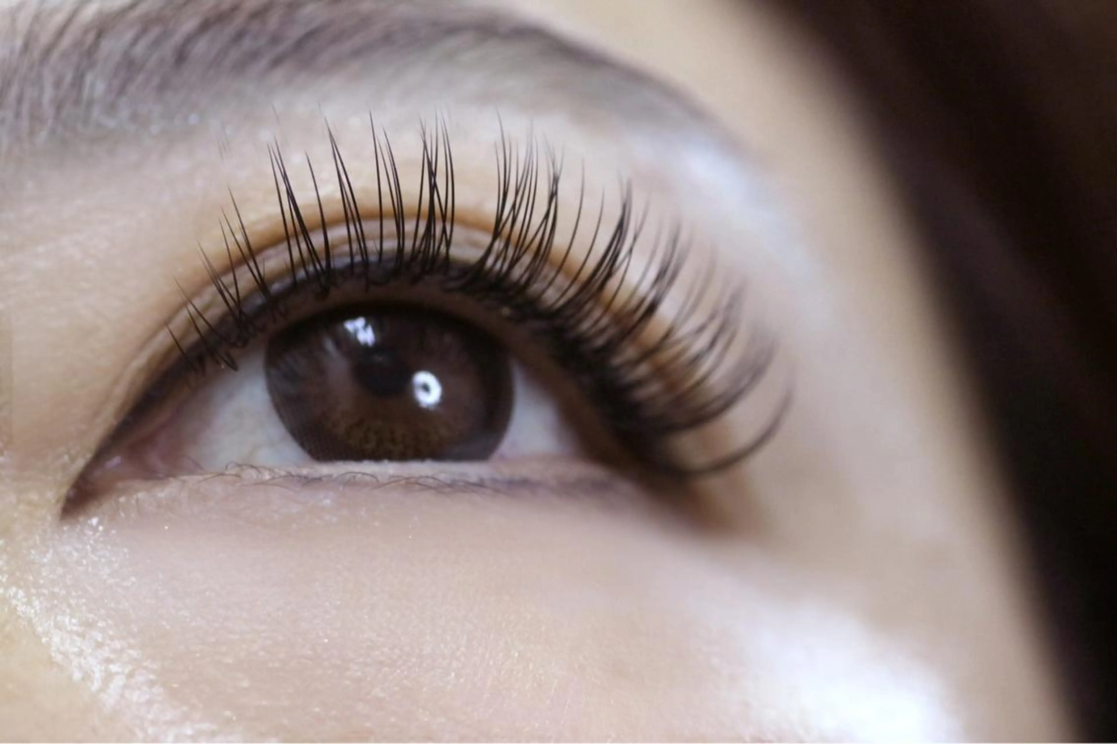 マツエク・マツパ 💟アイリスト 💟の眉毛・アイブロウイメージ