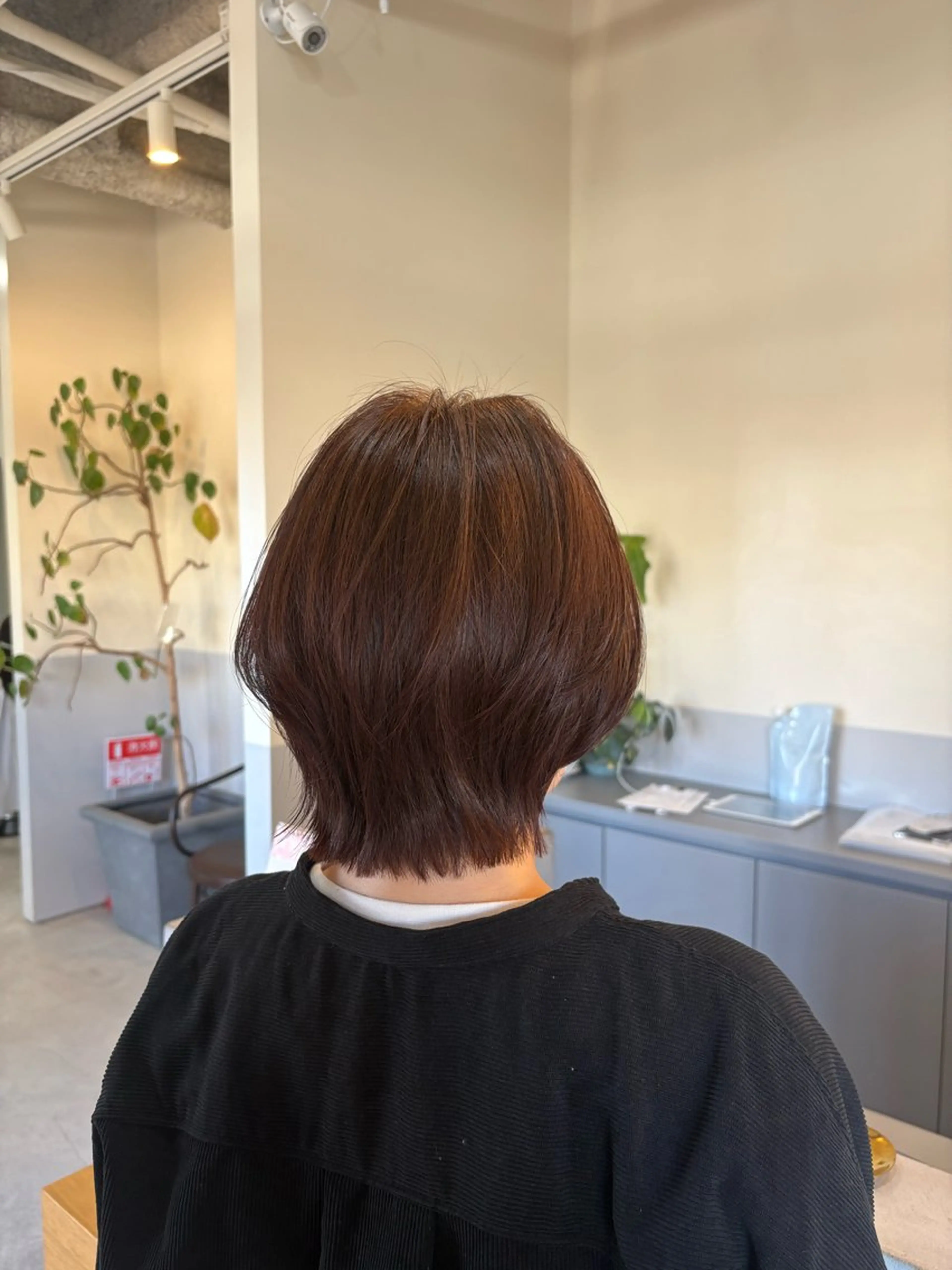 ショート オレンジブラウン ヘアカラー 鈴木 美由華／透明感カラーのヘアスタイル