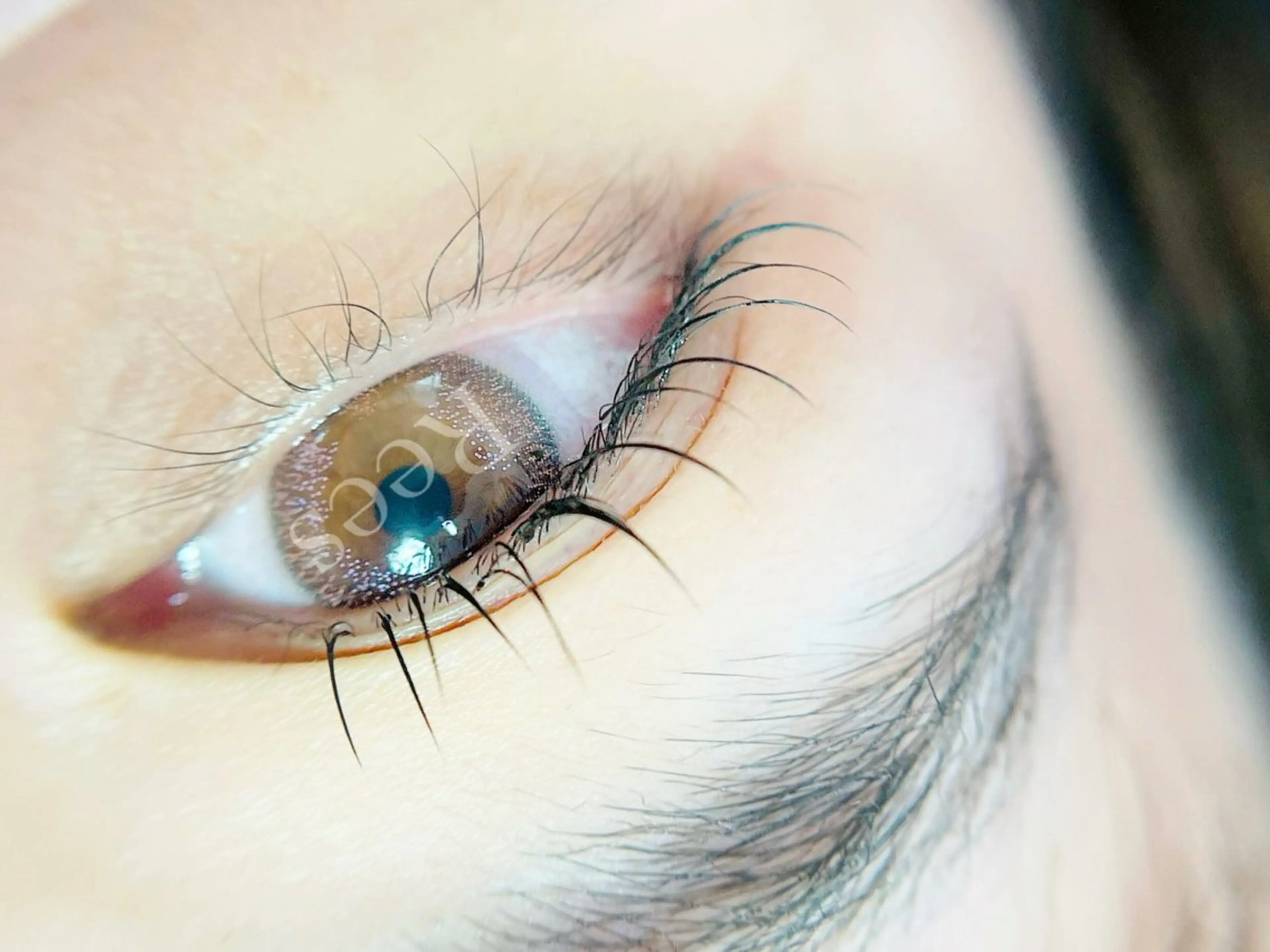 マツエク・マツパ フラットラッシュ ナチュラル 姫路アイデザイナー sacraのマツエク・マツパデザイン