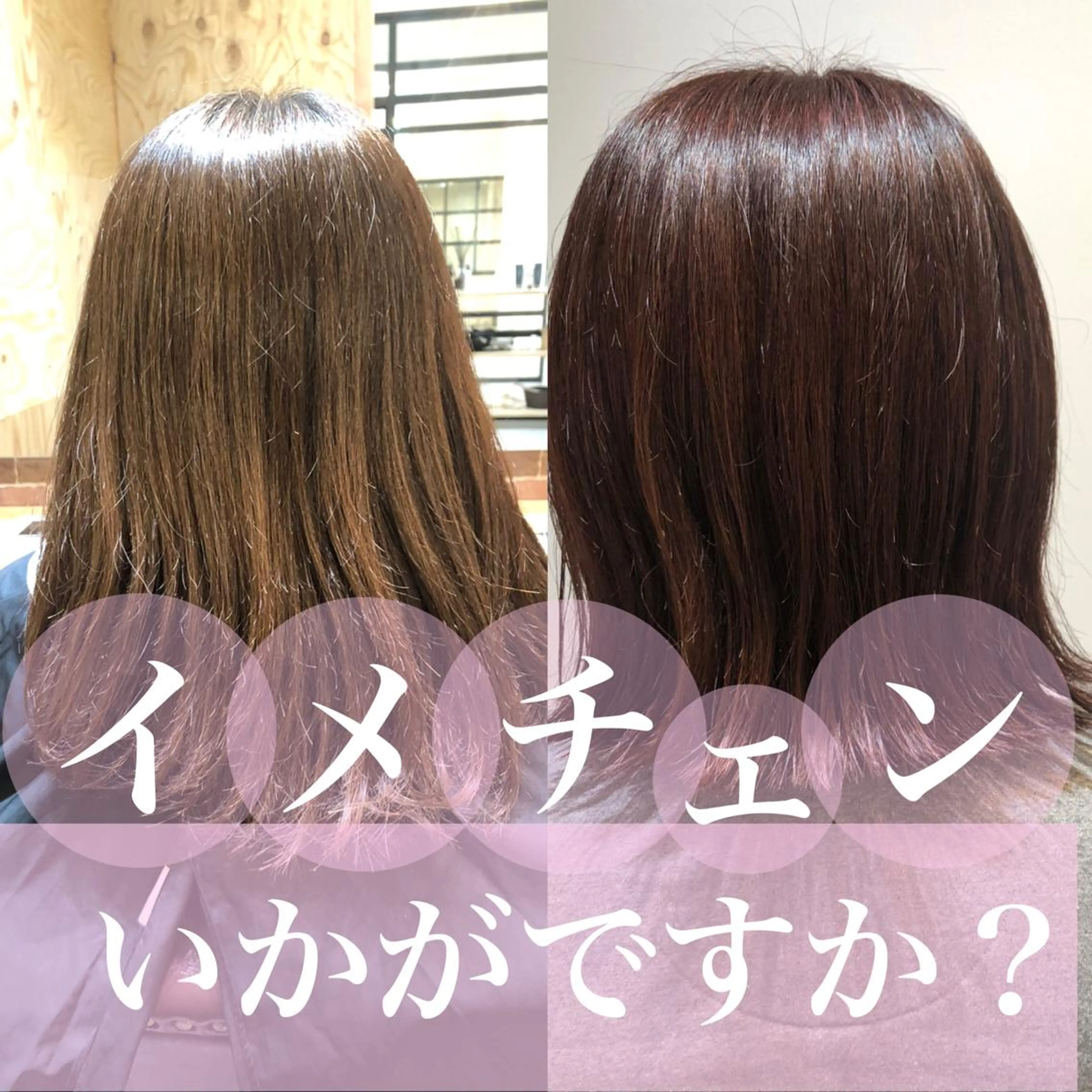 【💫圧倒的な艶髪💫】オイルカラー+似合せカット+超音波トリートメント★★の写真