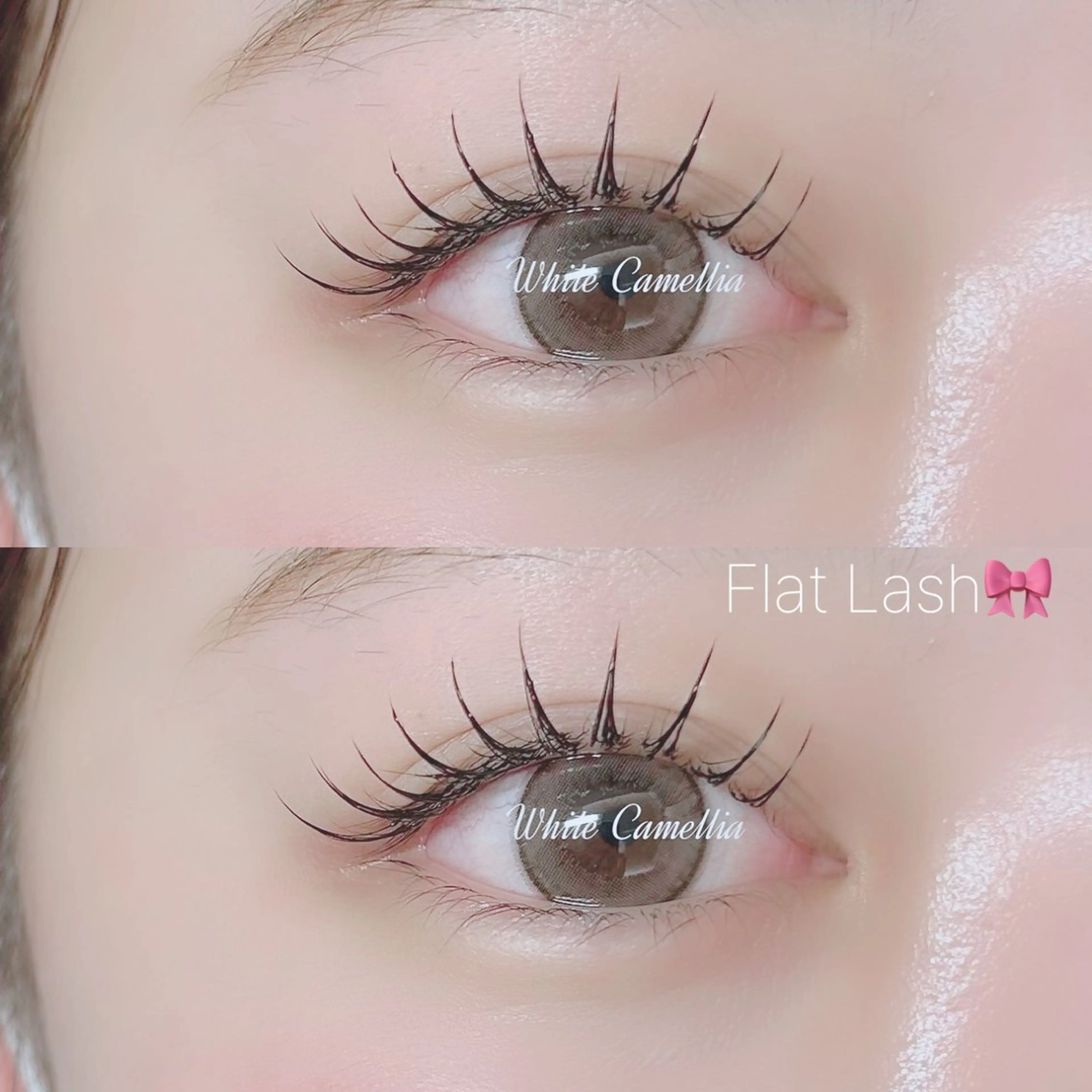 マツエク・マツパ 束感まつ毛 フラットラッシュ 韓国風マツエク 韓国風束感まつ毛 🫧Akaneの眉毛・アイブロウイメージ