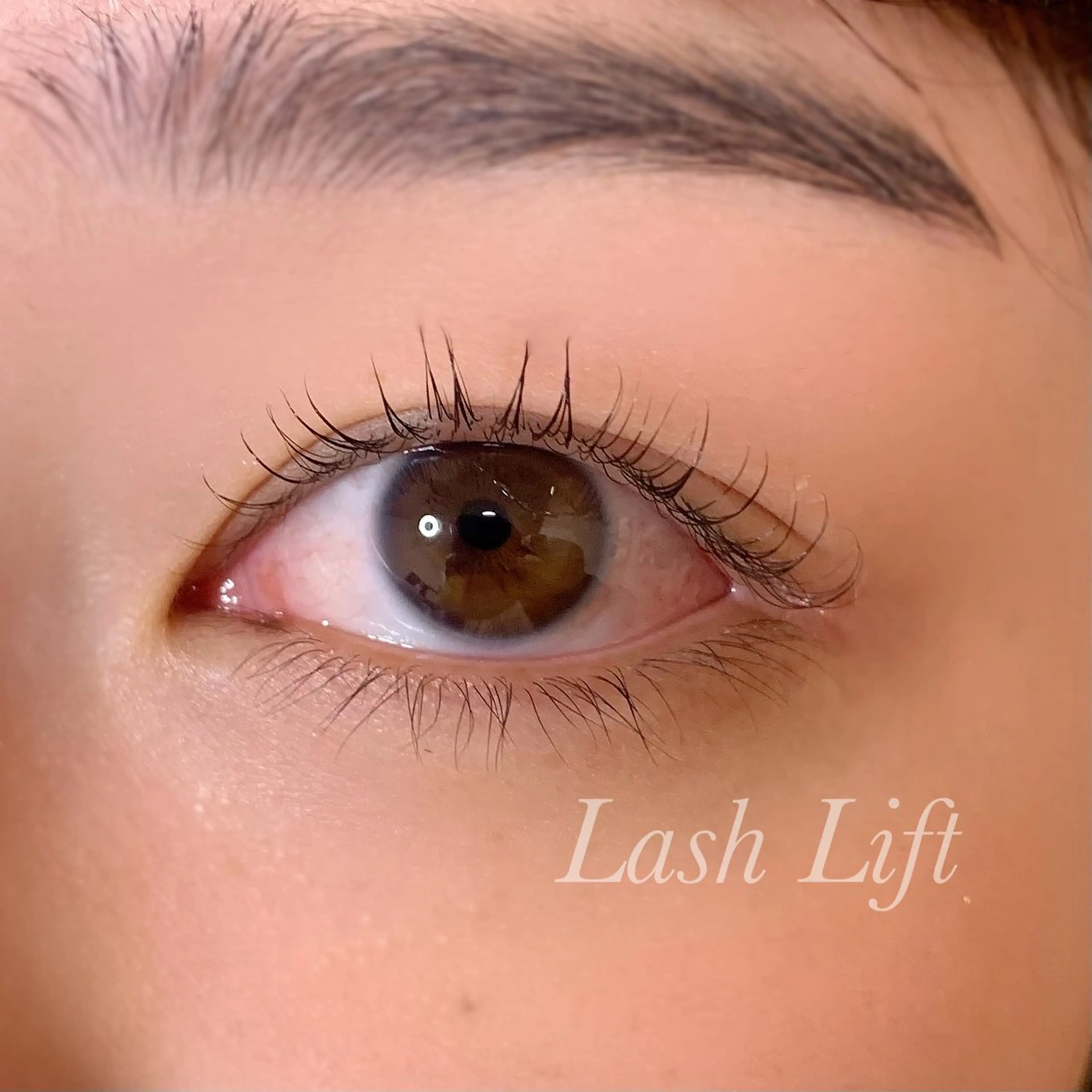 マツエク・マツパ まつげパーマ マツパ Ayumi.pro 🍆N《4階》のマツエク・マツパデザイン