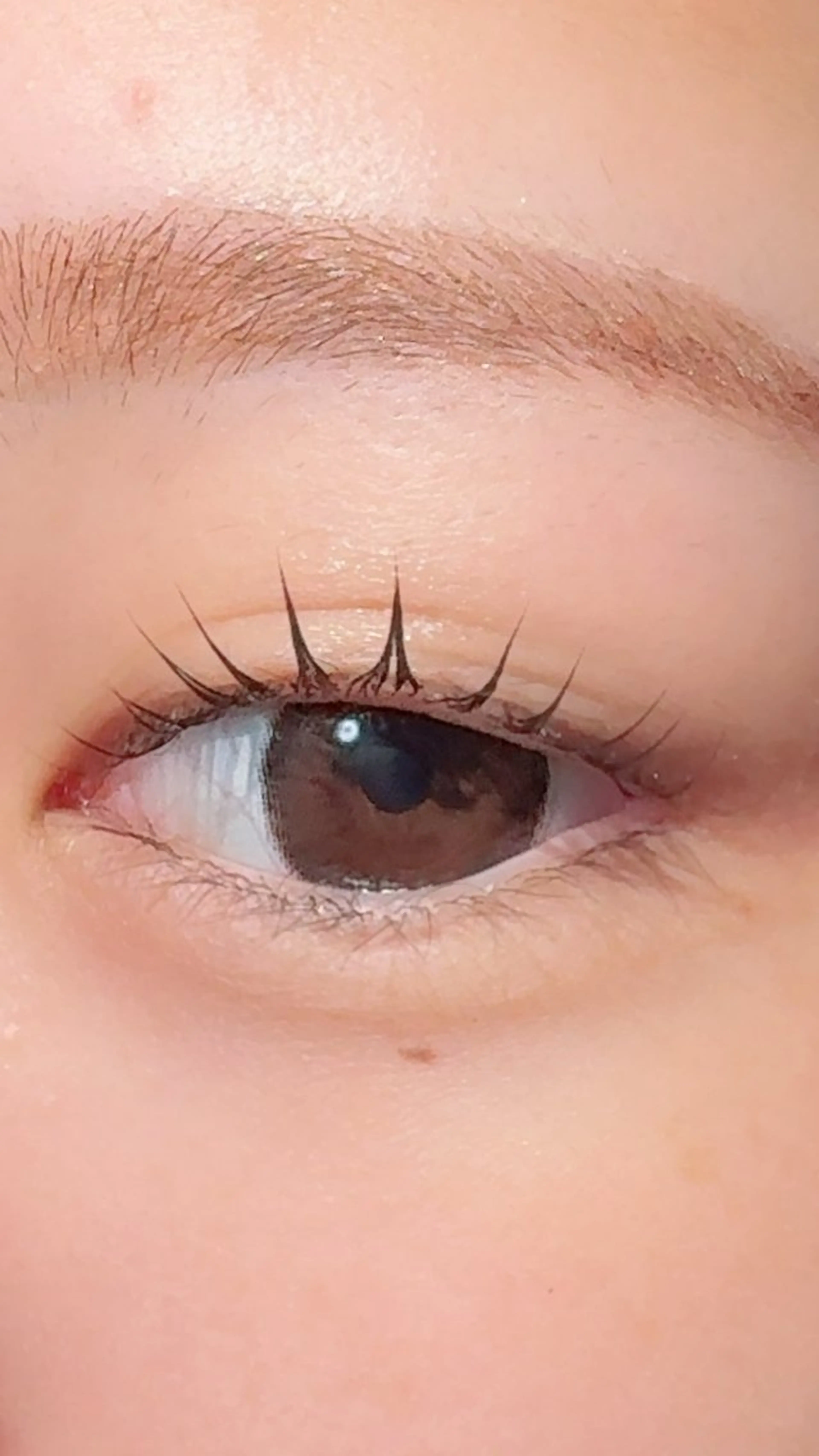 マツエク・マツパ 中原 舞羽のマツエク・マツパデザイン