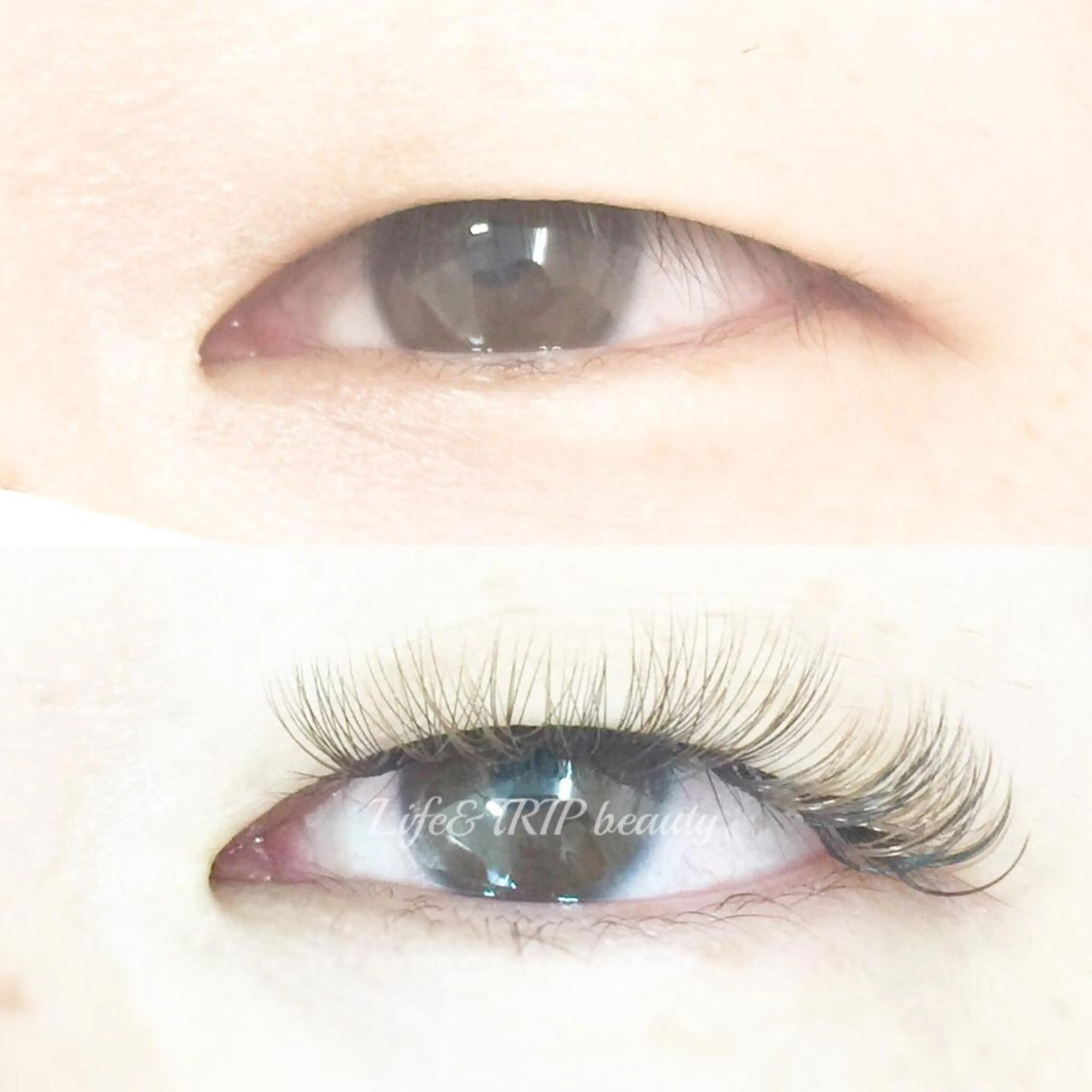 マツエク・マツパ カラーマツエク マツエク Life&TRIP beauty所属・Life&TRIP beautyのマツエク・マツパデザイン