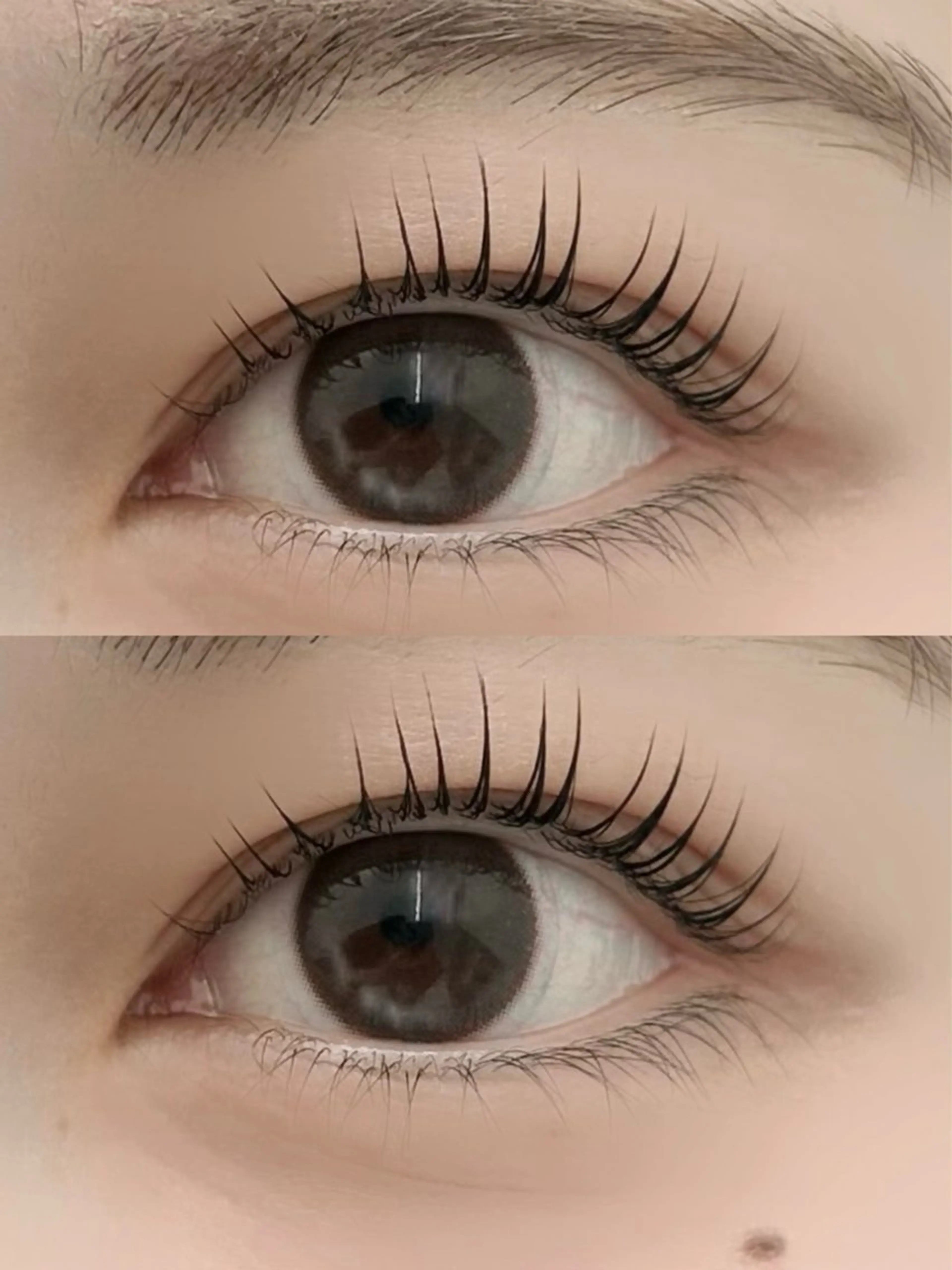 マツエク・マツパ LuLu / まつパ 🥀akaneのマツエク・マツパデザイン