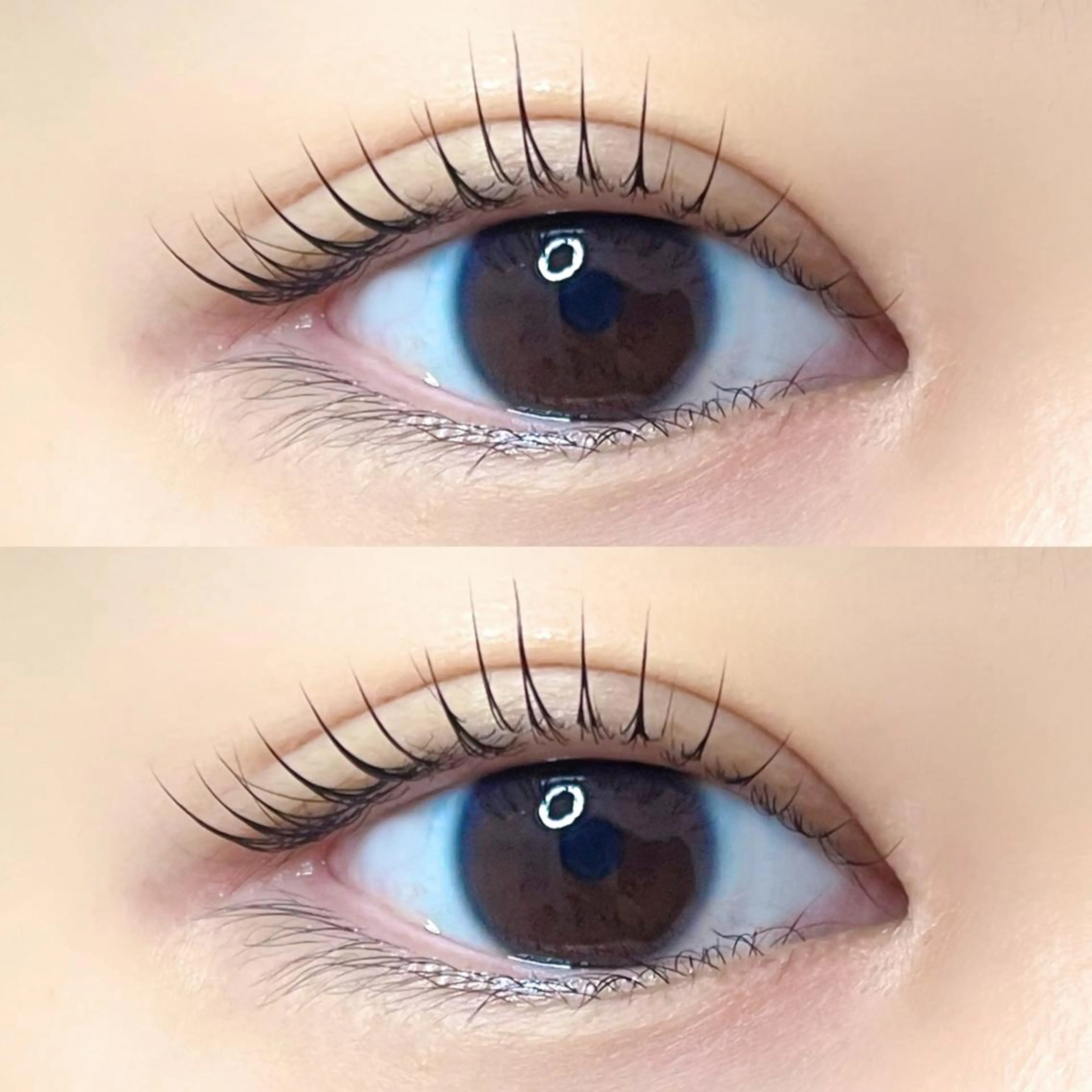 マツエク・マツパ ナチュラル 眉毛/まつ毛/代官山 アイサロン🌻NAEのマツエク・マツパデザイン