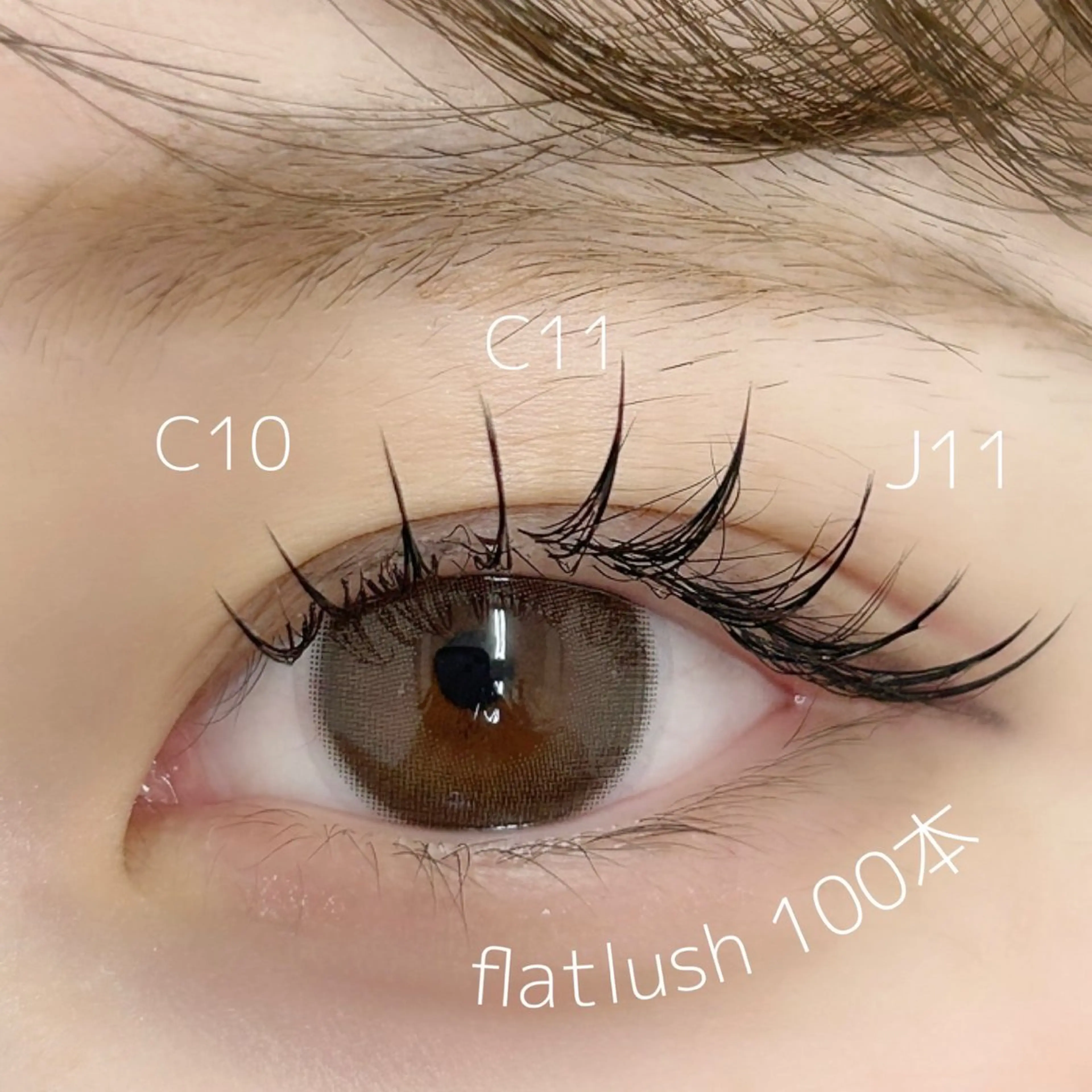 ナチュラル重視さん向け🪽フラットラッシュ100本（オフ別途+500円）の写真