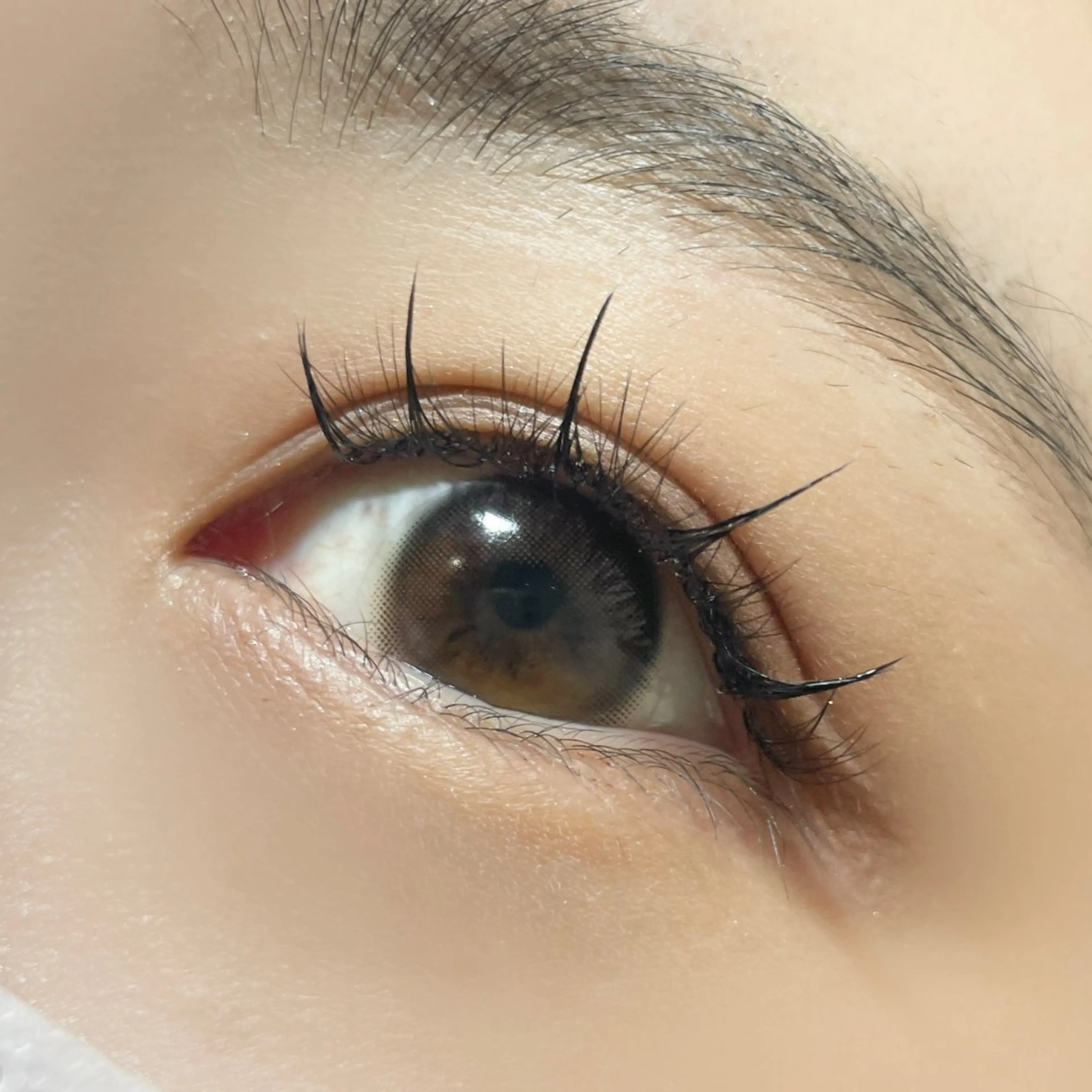 マツエク・マツパ ワンホンマツエク salut ayakaのマツエク・マツパデザイン