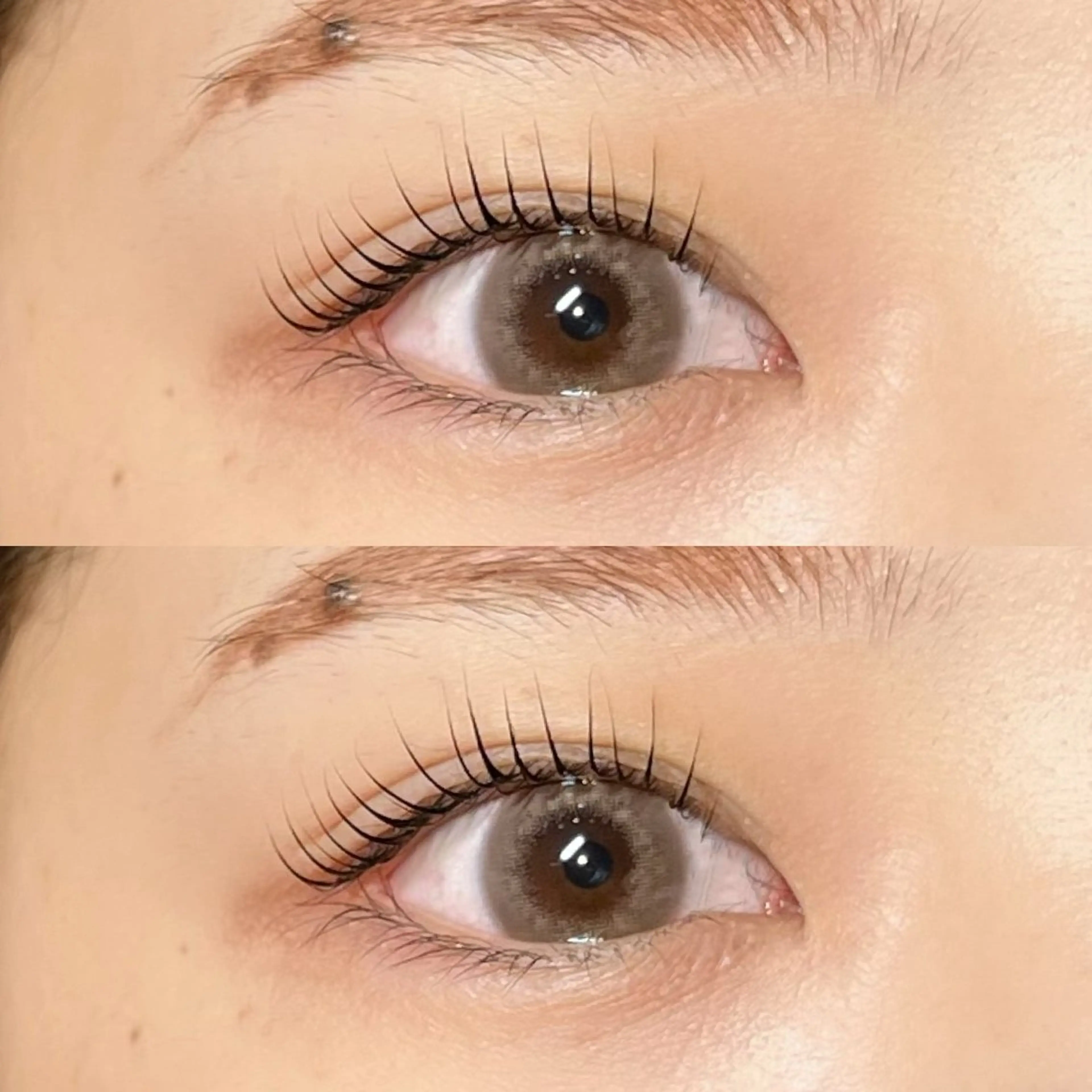 マツエク・マツパ パリジェンヌラッシュリフト Milobyking 🍒rihoの眉毛・アイブロウイメージ