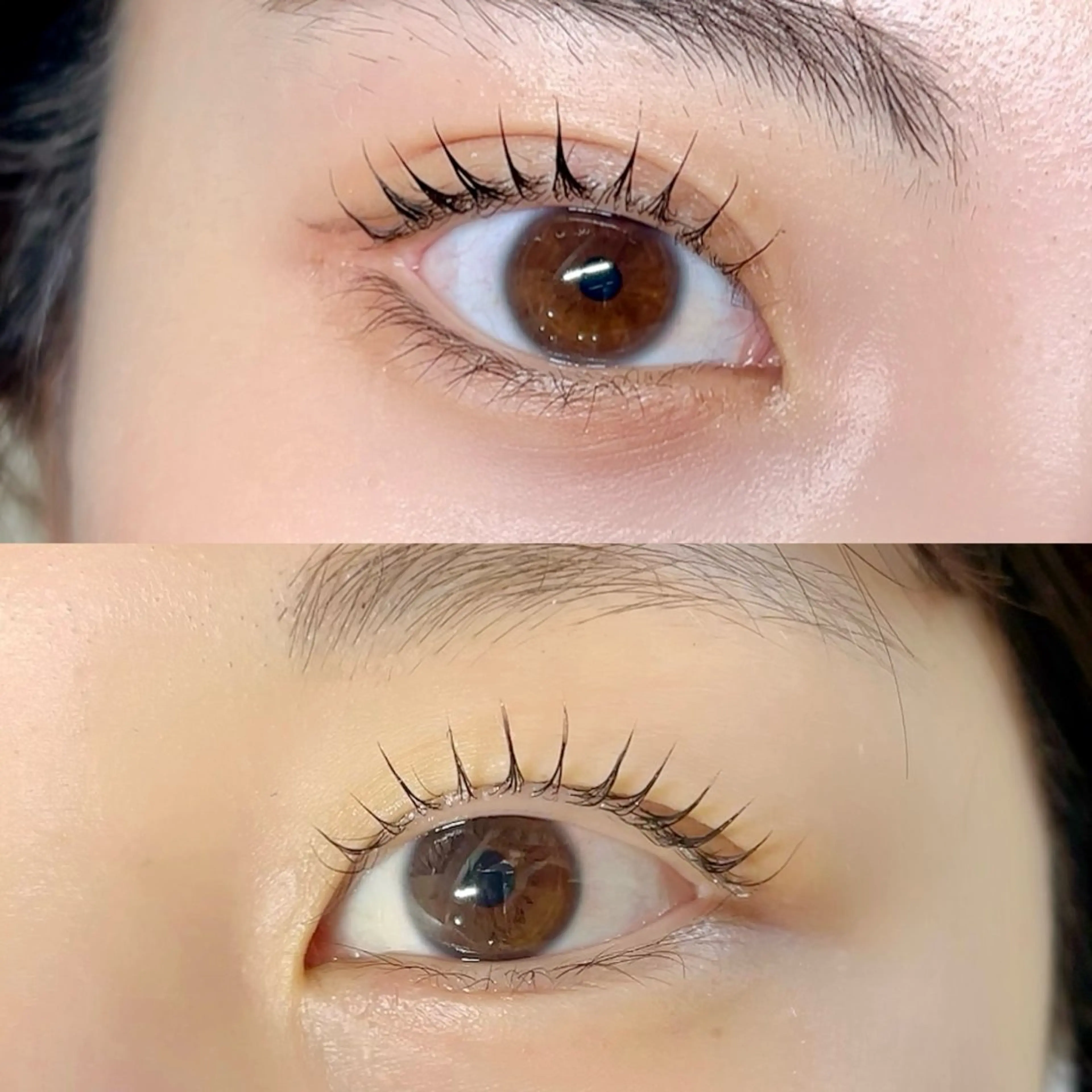 ✨🉐お得セット🉐✨アイブロウワックス➕パリジェンヌ🪄.⋆⟡の写真