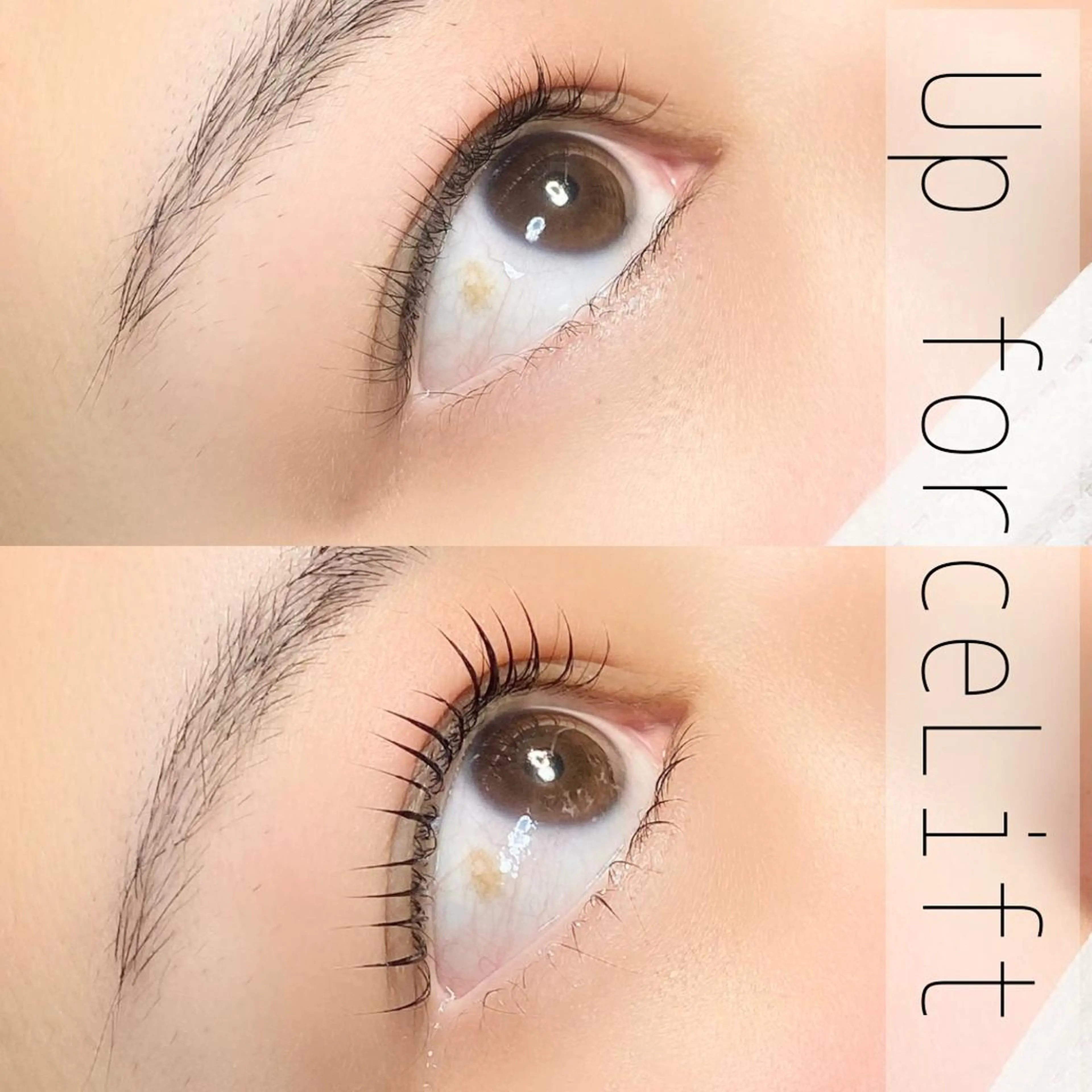 マツエク・マツパ 内藤 由貴のマツエク・マツパデザイン