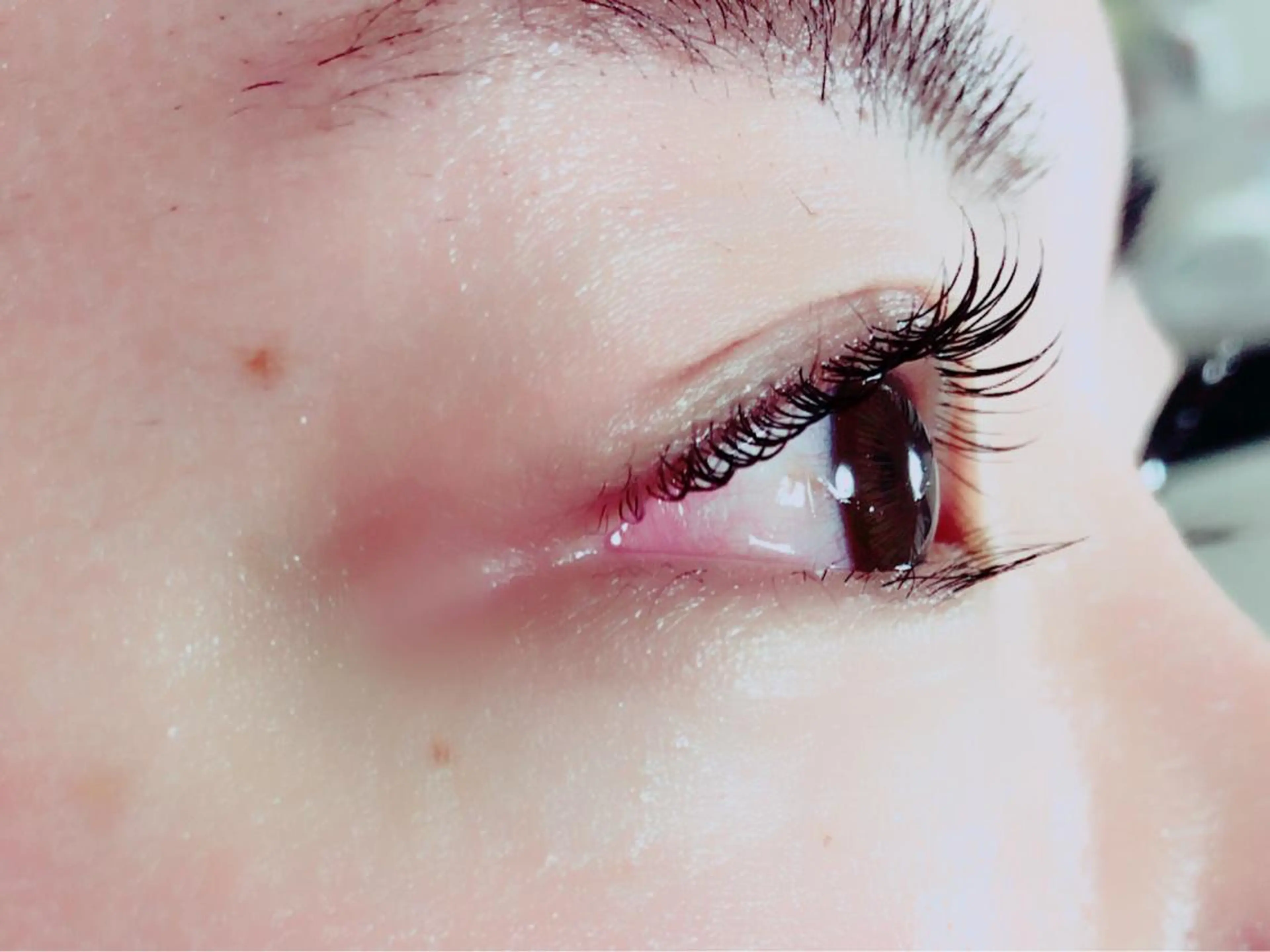 マツエク・マツパ 和田 真弥の眉毛・アイブロウイメージ