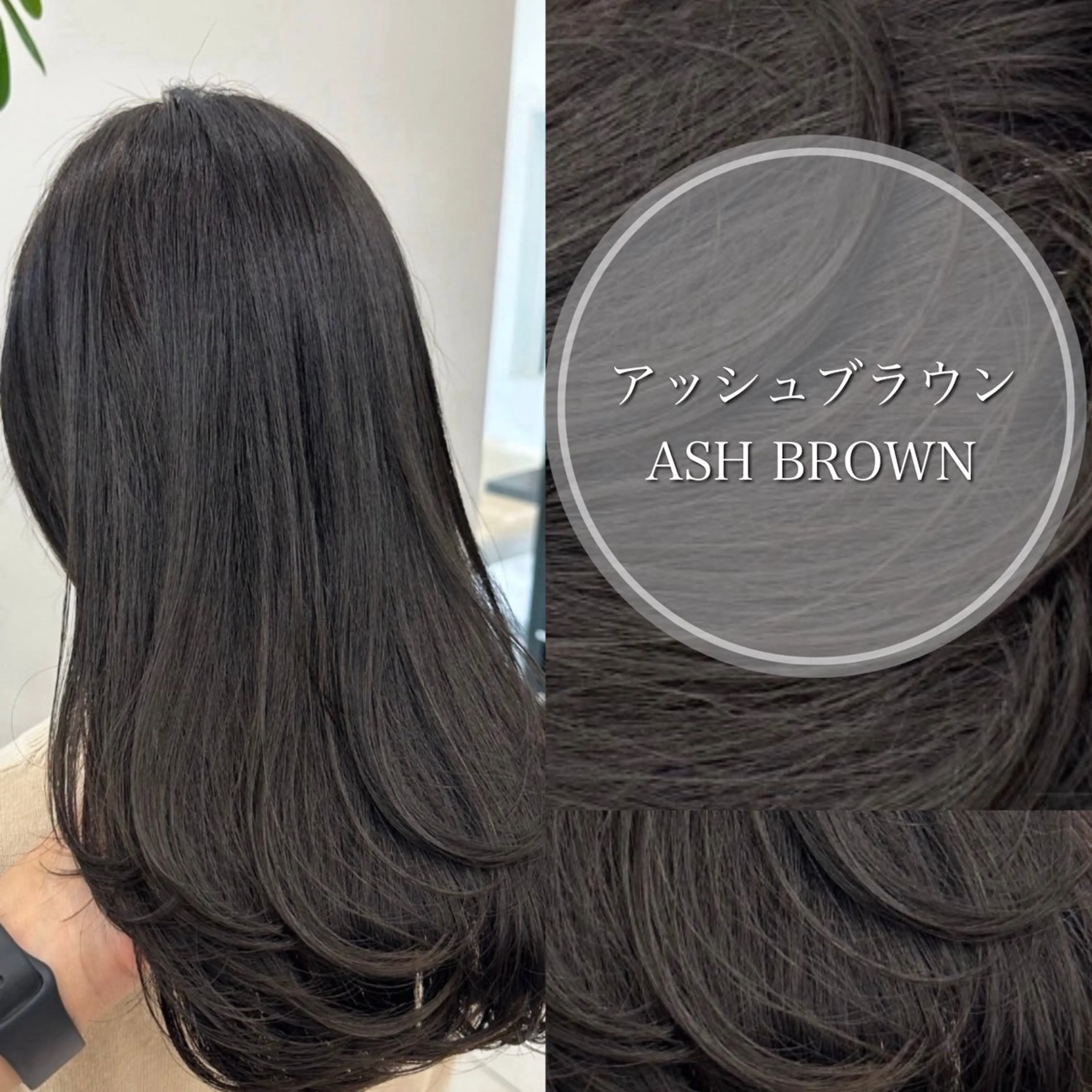 ロング カラー 三浦 悠のその他イメージ