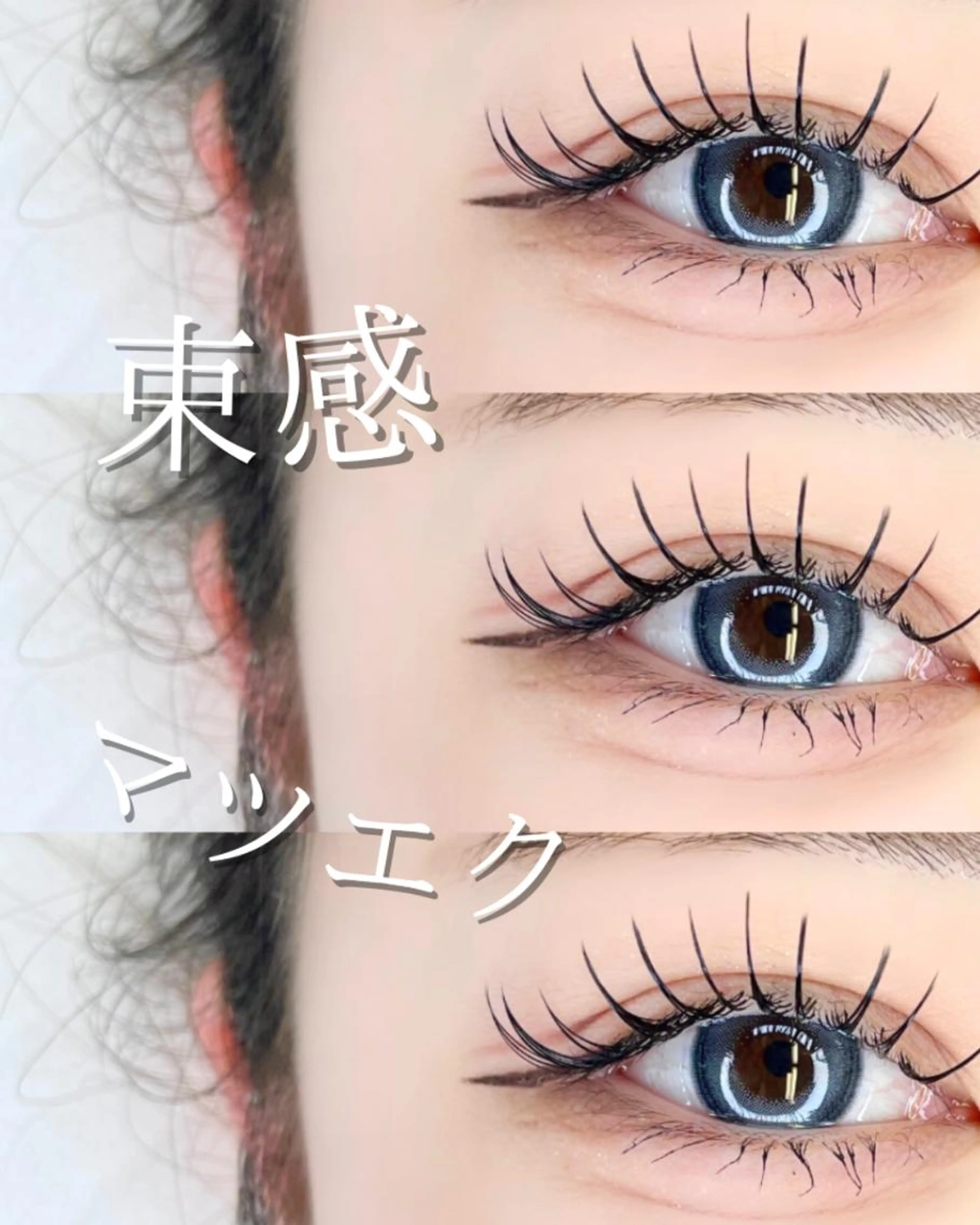 🎀まつげエクステ100本+コーティング商品付🎀¥6600円の写真