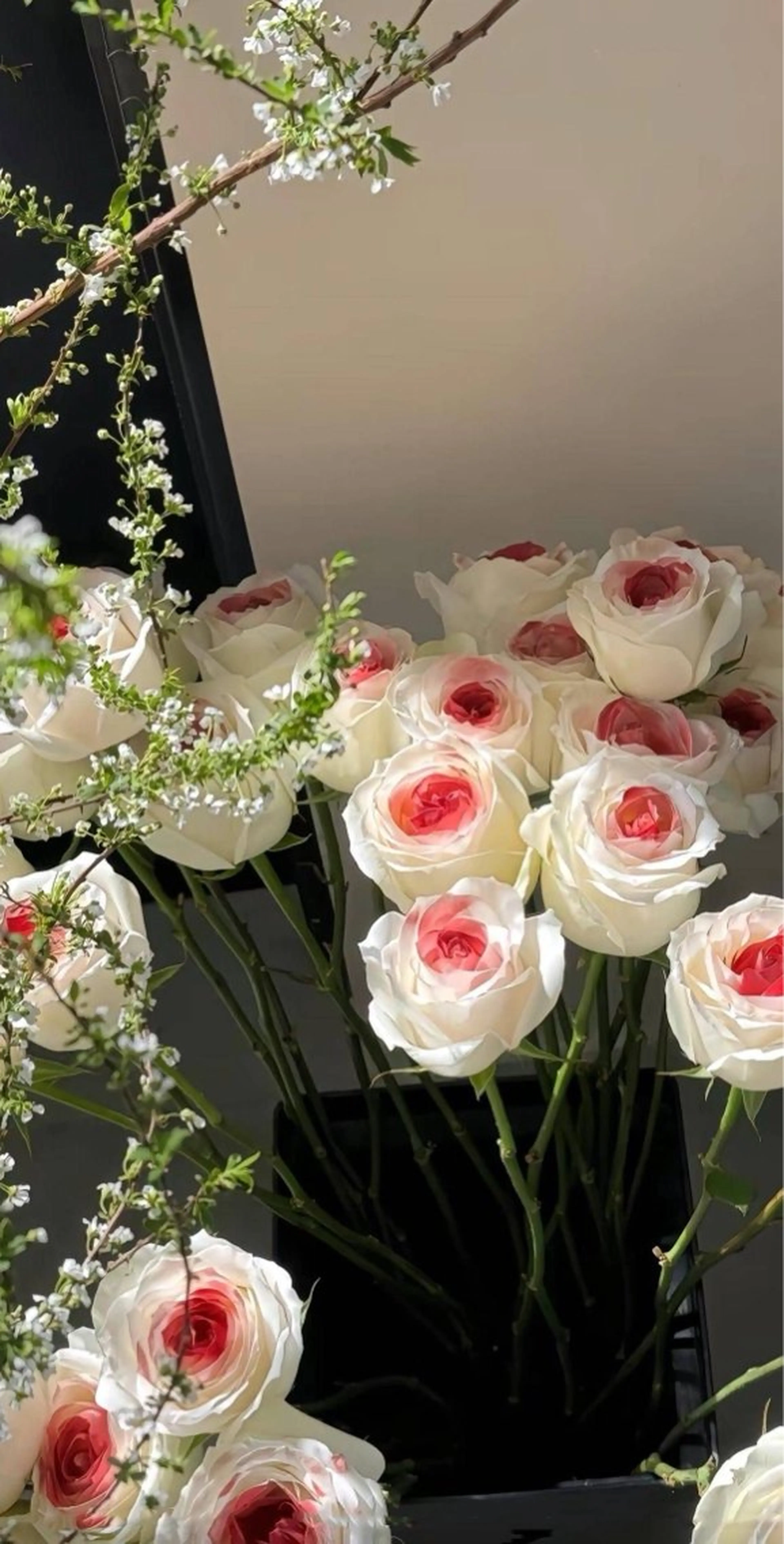 ecarg / cocoroのマツエク・マツパデザイン