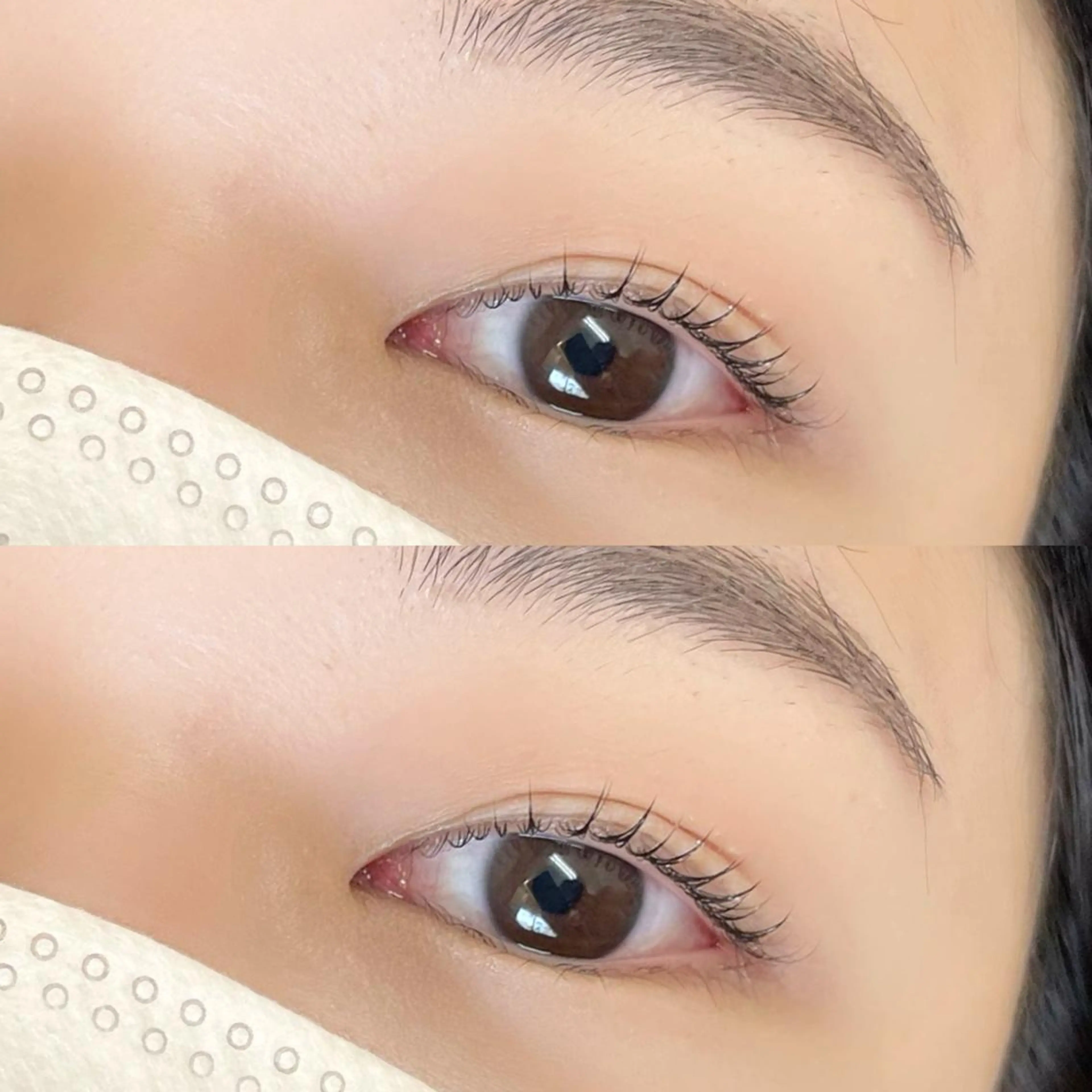 マツエク・マツパ マツパ PRESS NAIL &EYELASH (プレスネイルアンドアイラッシュ)所属・野田咲良|まつぱ| アイブロウ|マツエクのマツエク・マツパデザイン