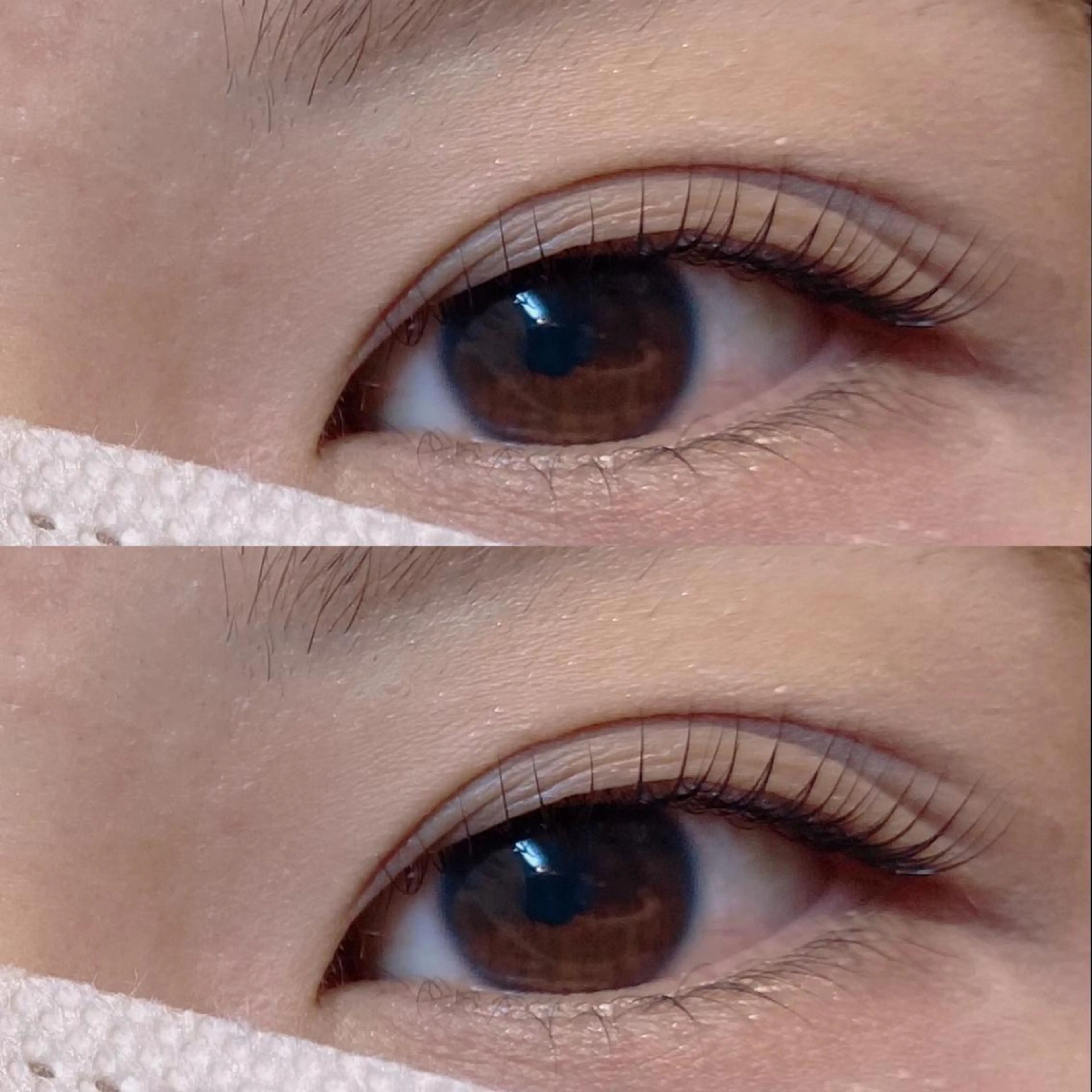 マツエク・マツパ パリジェンヌラッシュリフト LUANA 千葉の眉毛・アイブロウイメージ