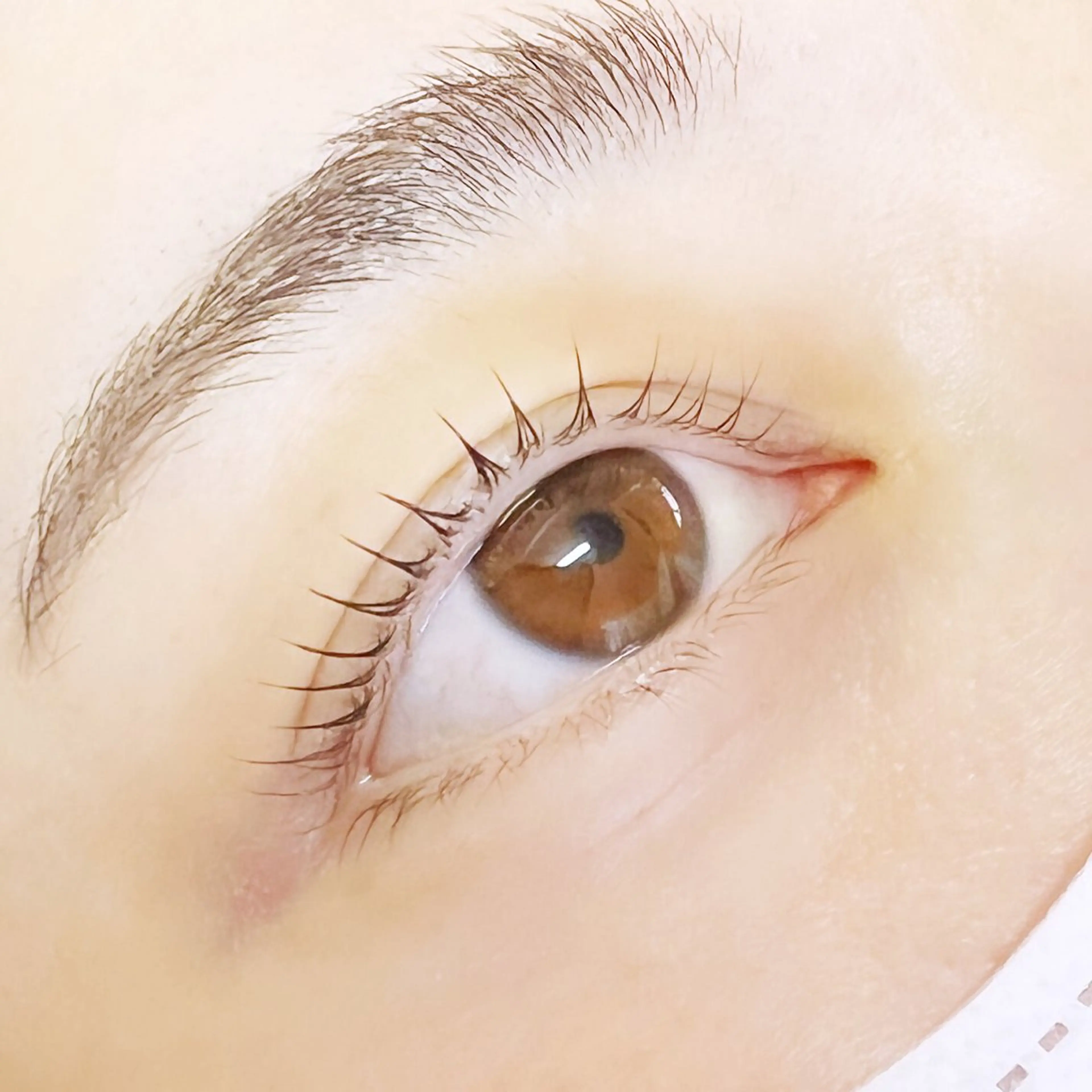 マツエク・マツパ eyelash CREAのマツエク・マツパデザイン