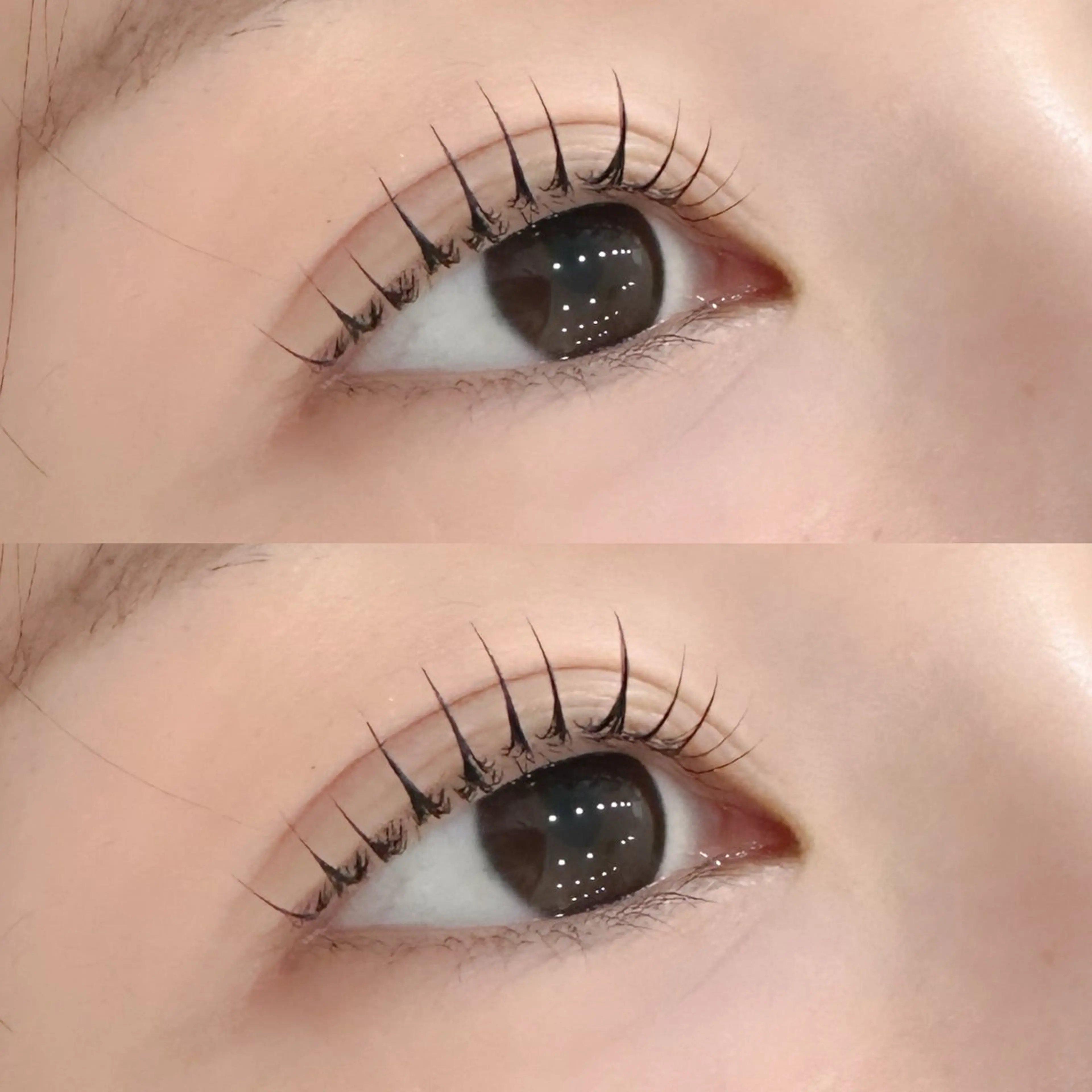 マツエク・マツパ マリーテレジア‎🩵 Maeokaのマツエク・マツパデザイン